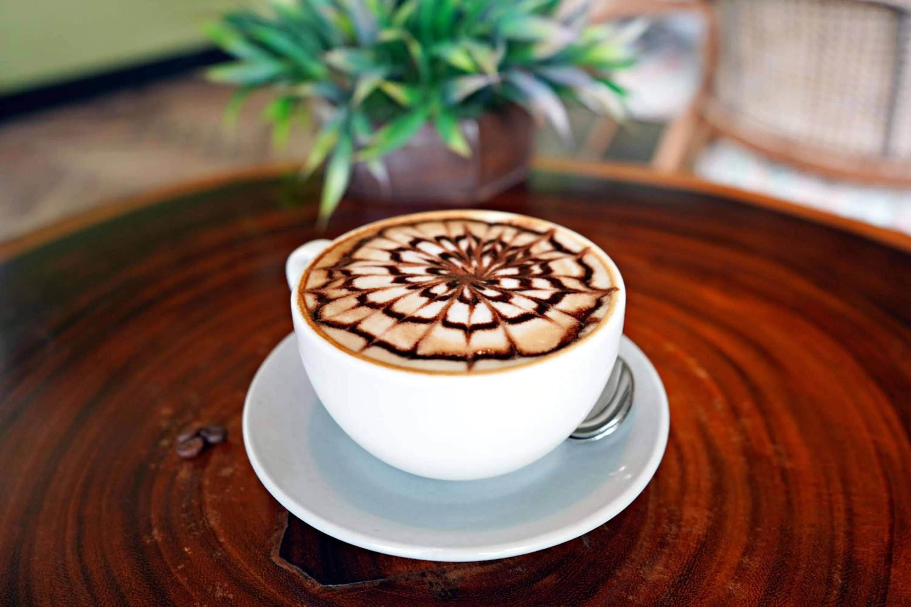 Coffee/tea facilities in The Orion Plaza - Nehru Place