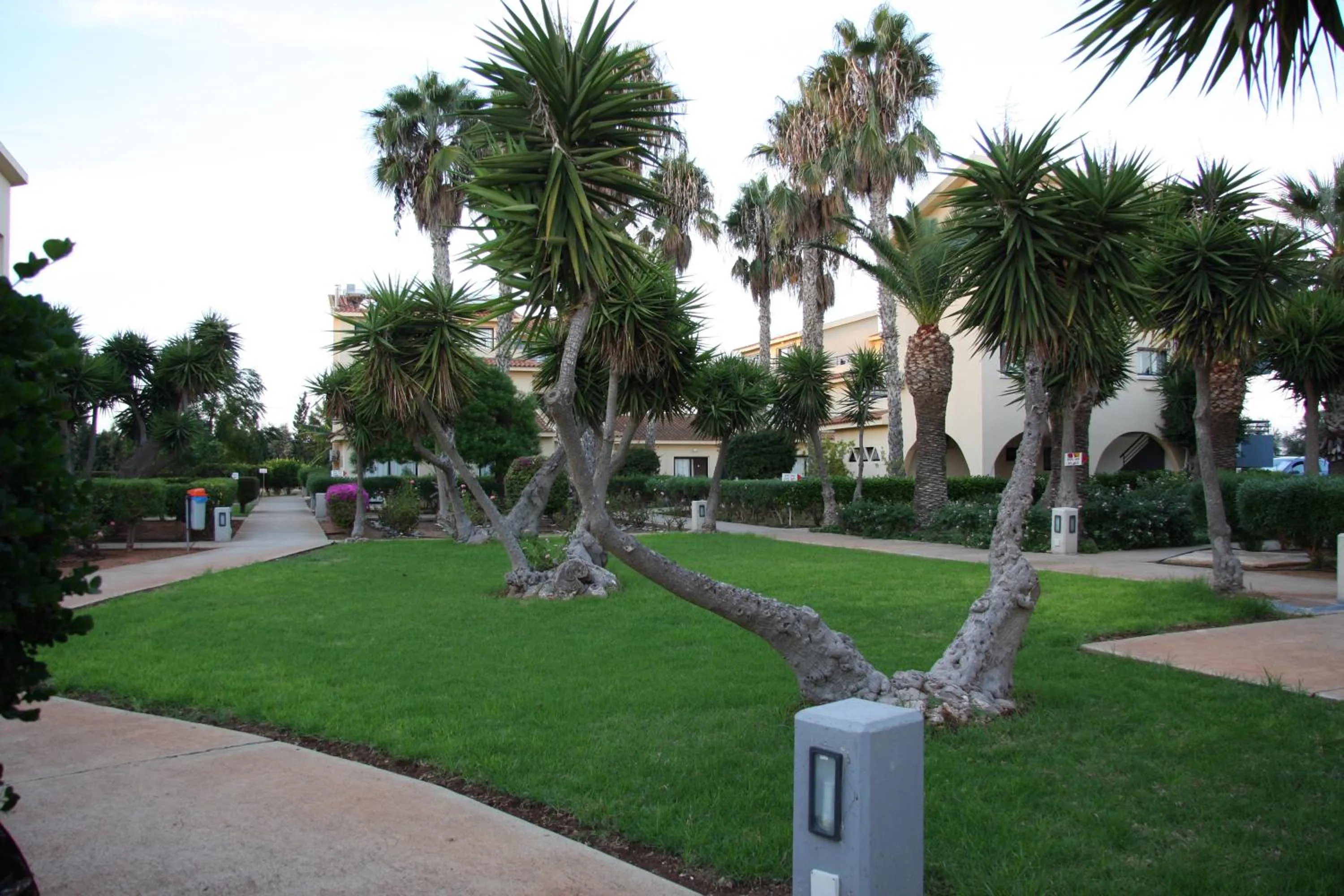 Garden in Makronisos Village