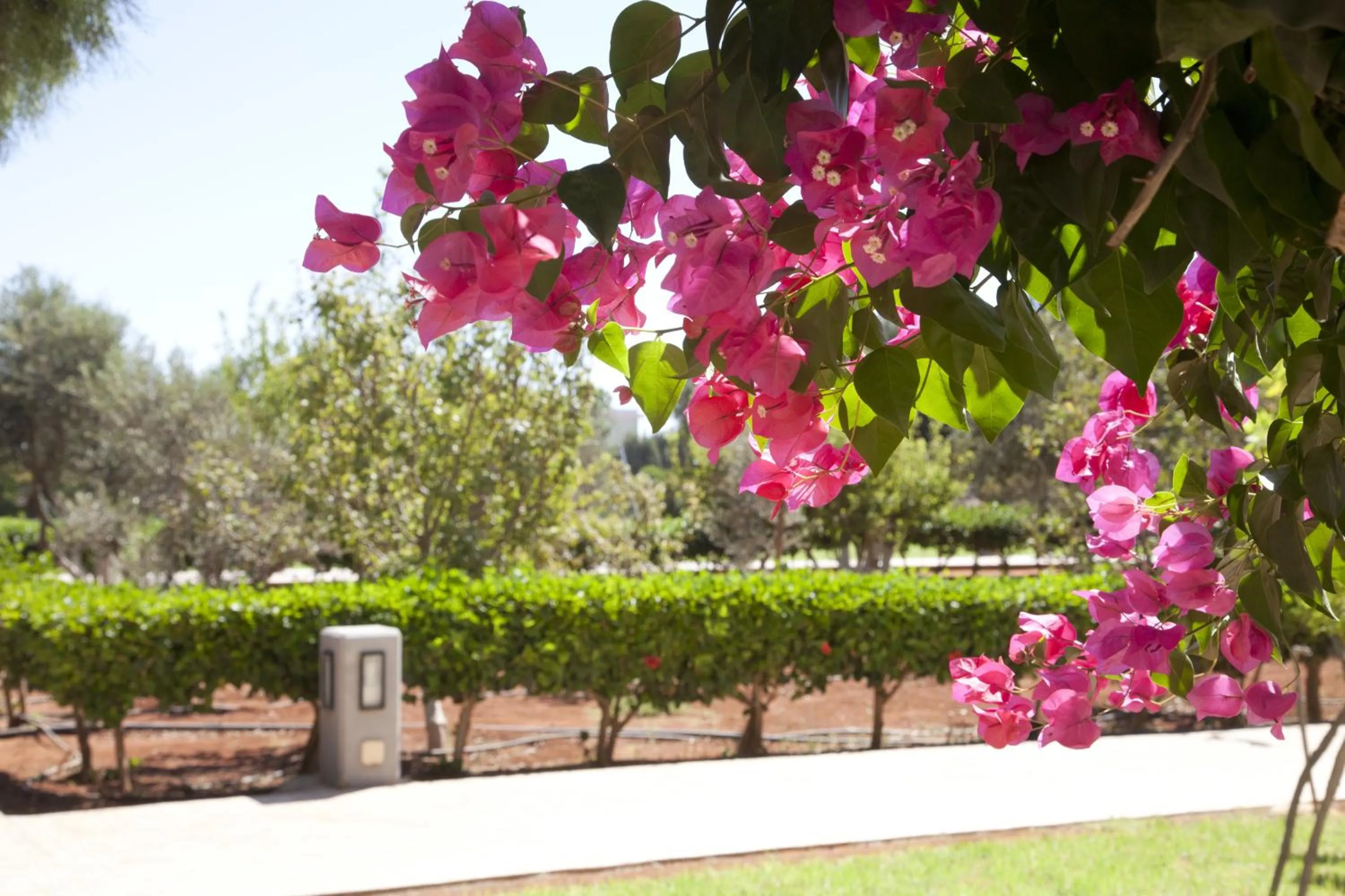 Garden view in Makronisos Village