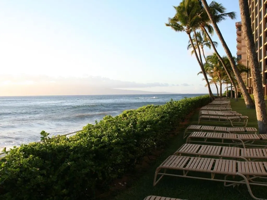 Natural landscape in Mahana 316