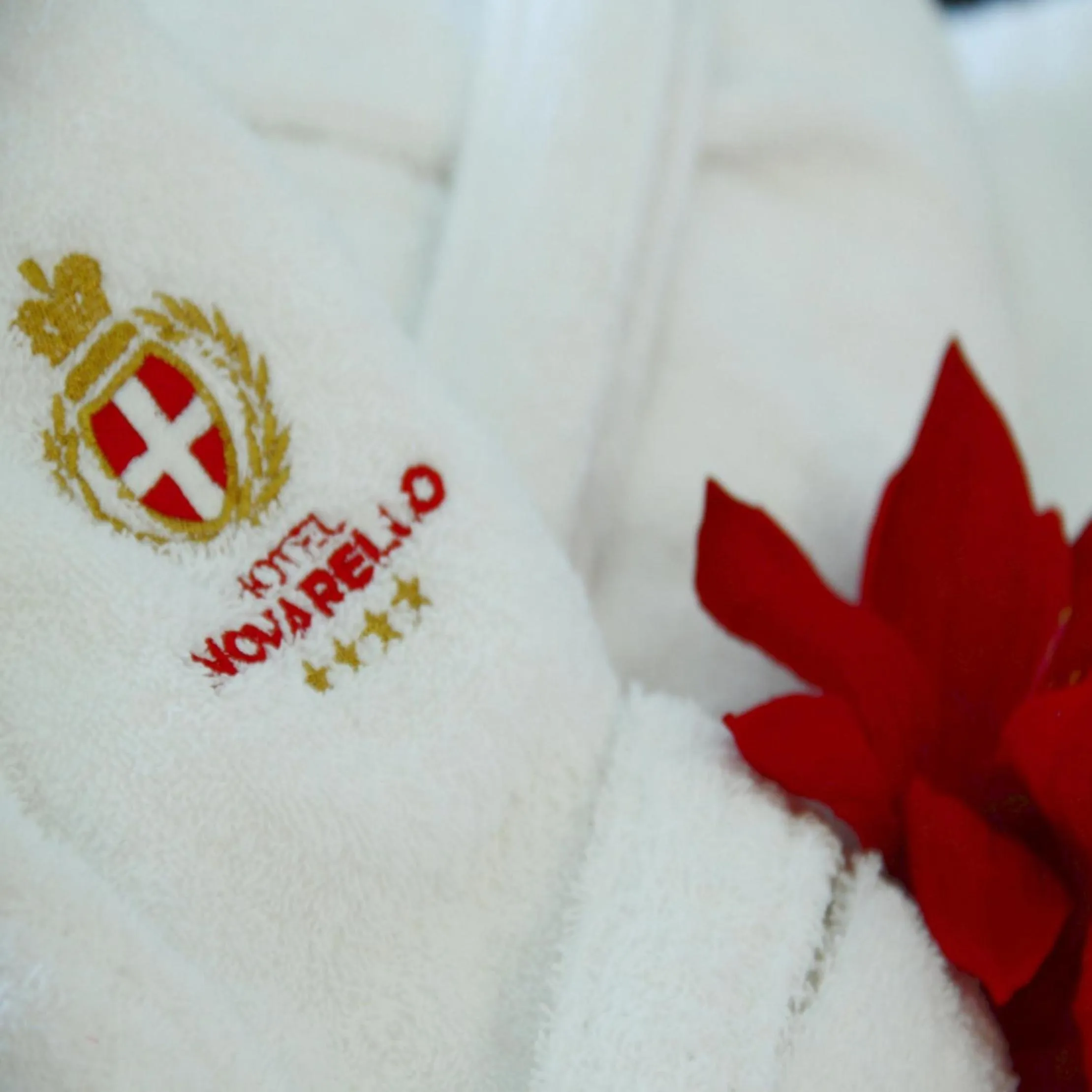 Massage in Hotel Novarello