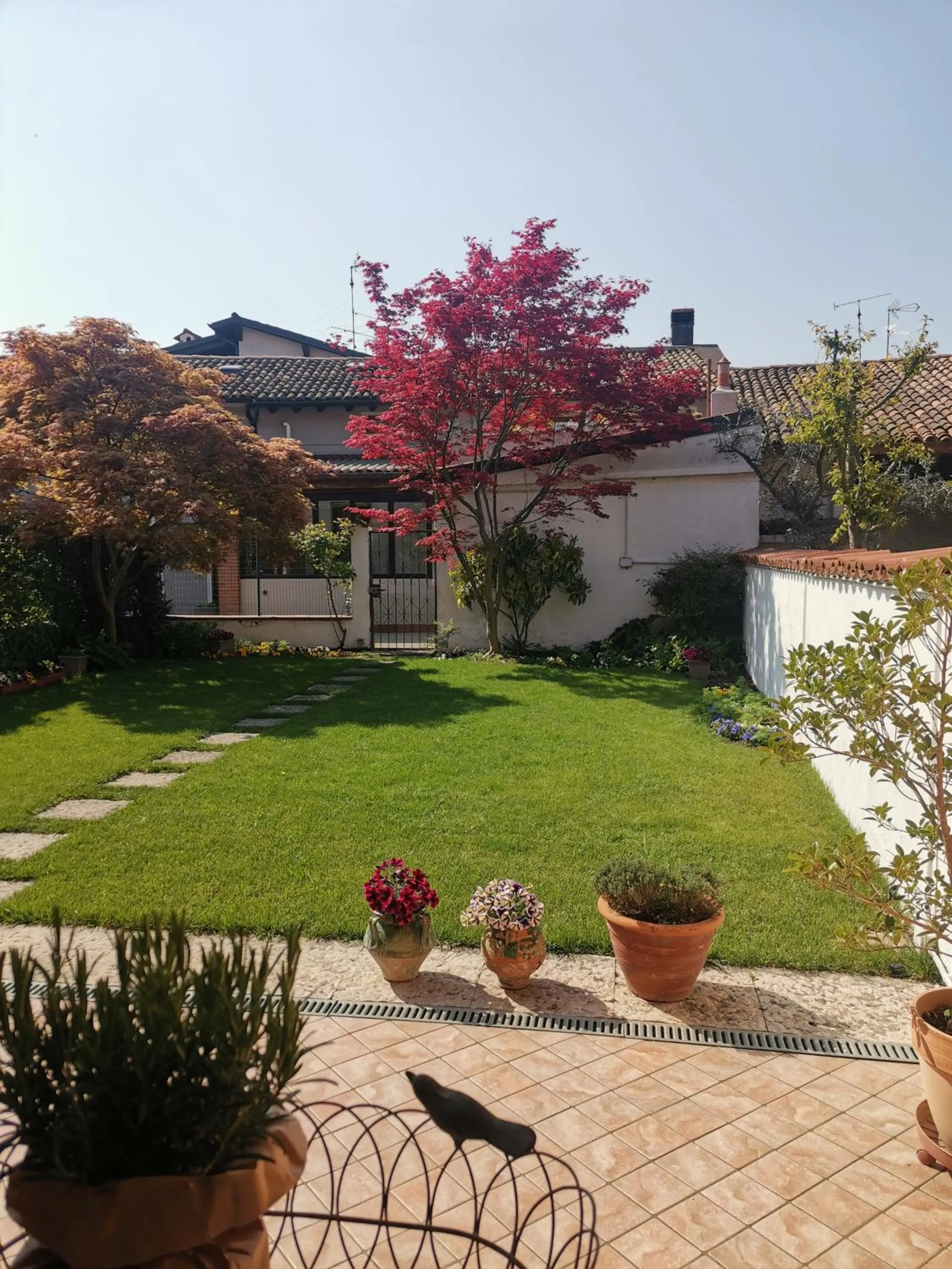 Garden view in Il Colibrì Bed&Breakfast