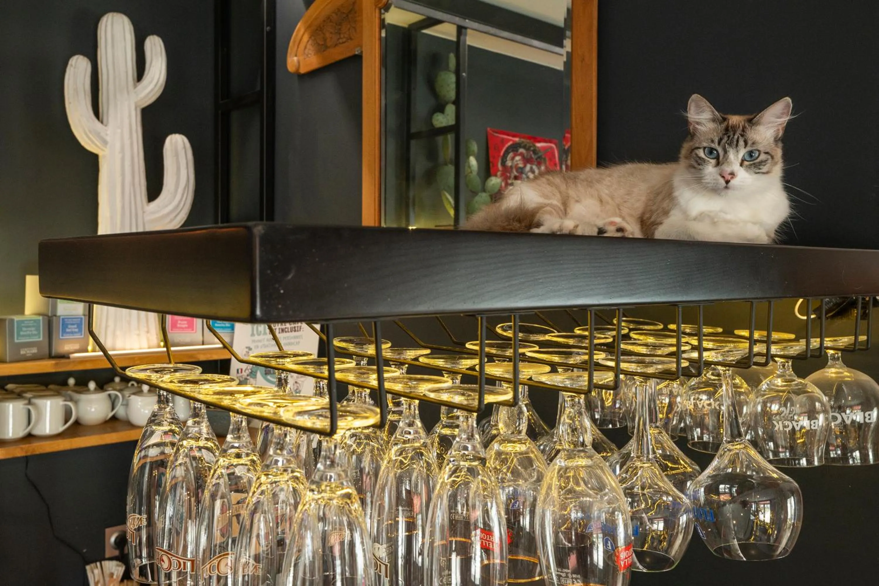 Lounge or bar in Hôtel Les Pins - Oléron