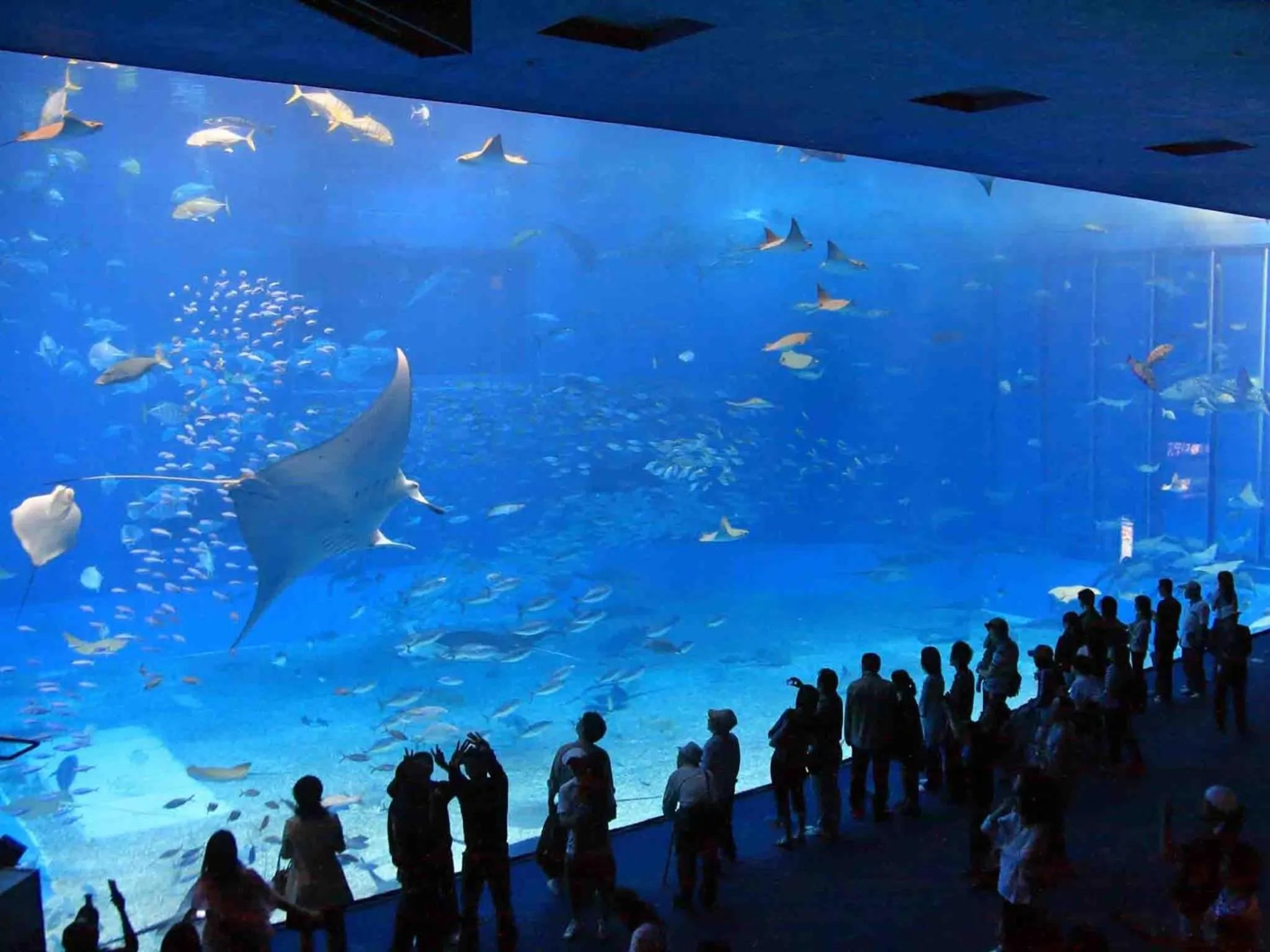 Other in Condominium・yuyuki