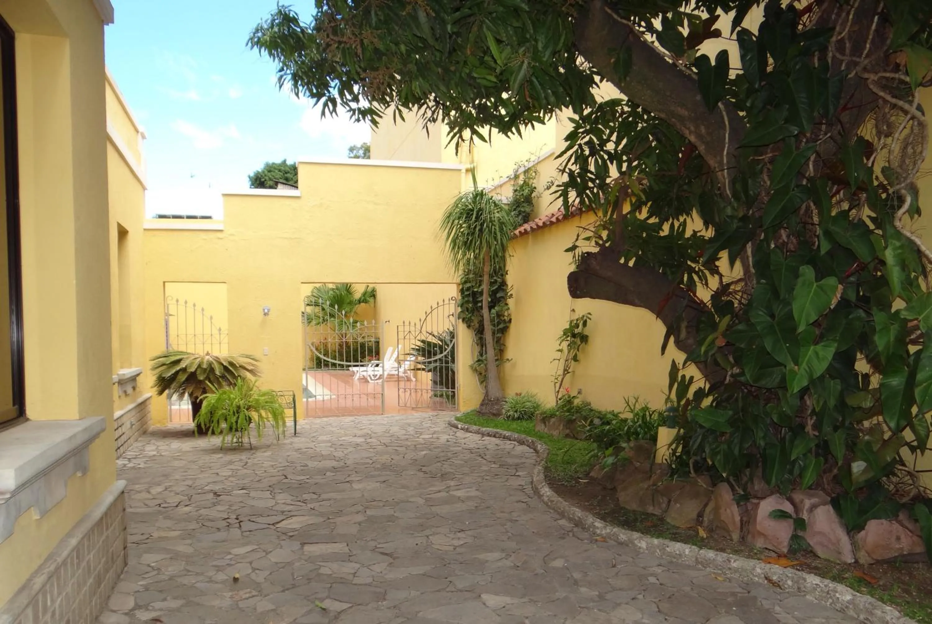 Garden in Hotel Mac Arthur