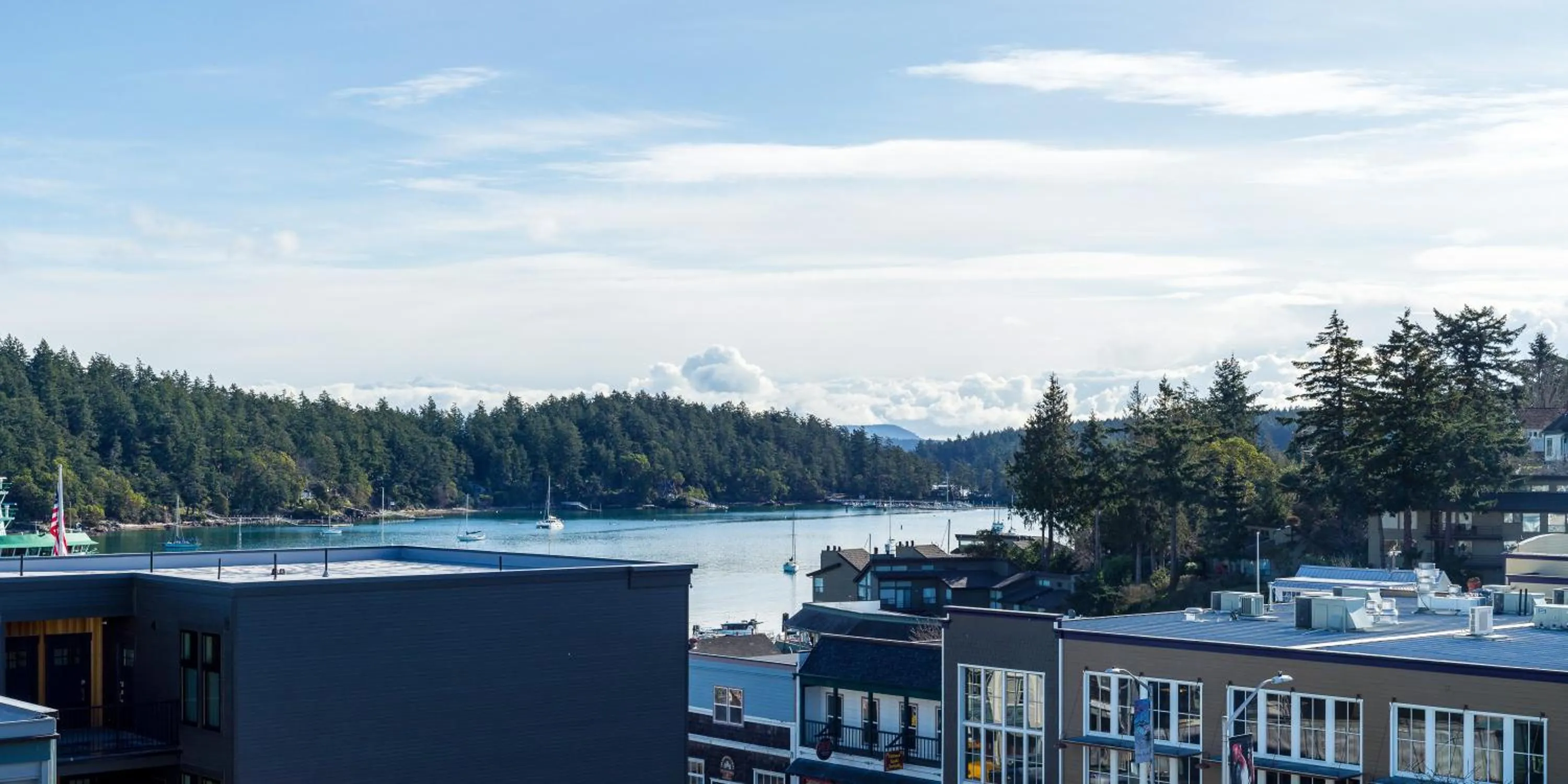 View (from property/room) in Bird Rock Hotel