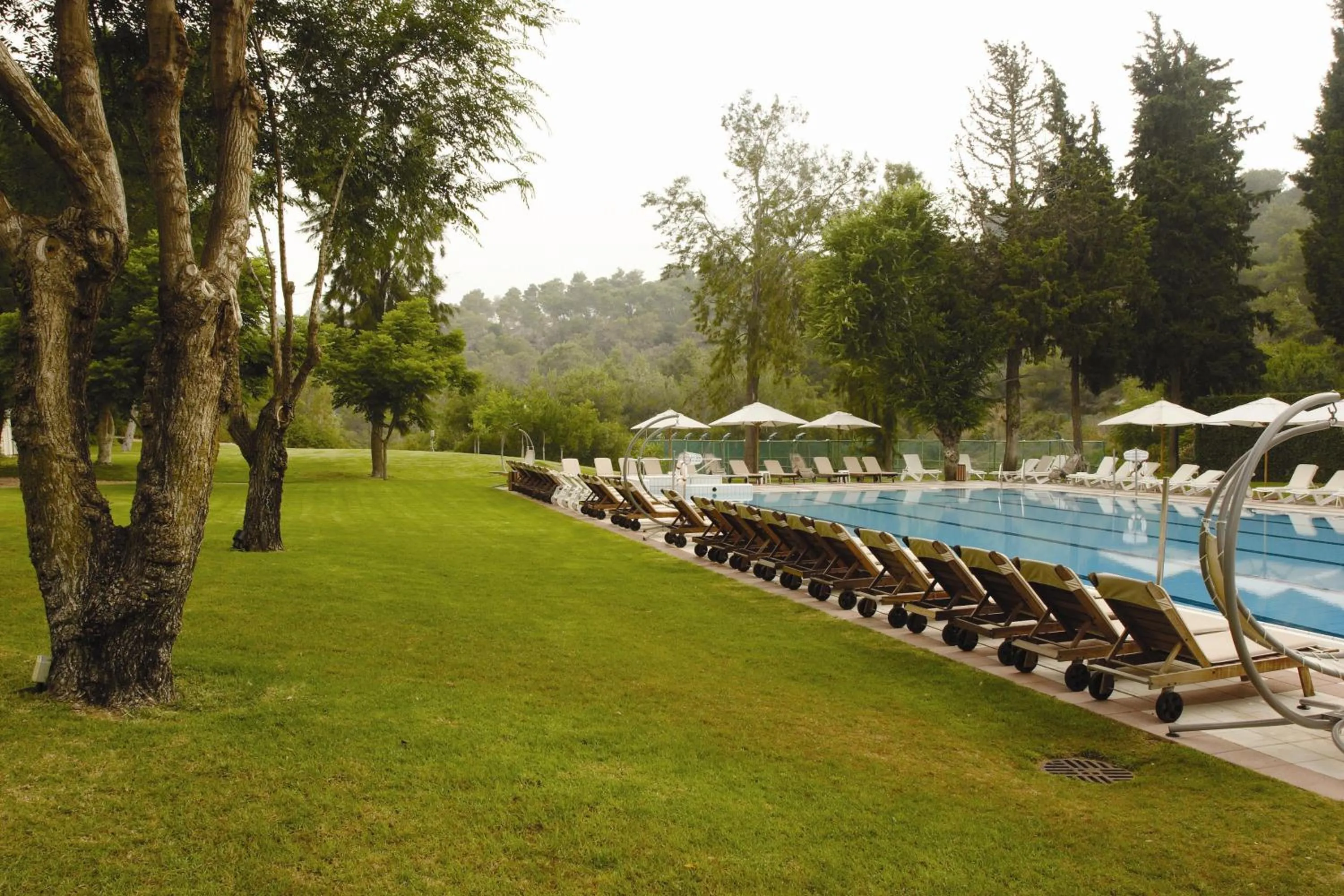 Swimming pool in Carmel Forest by Isrotel Exclusive