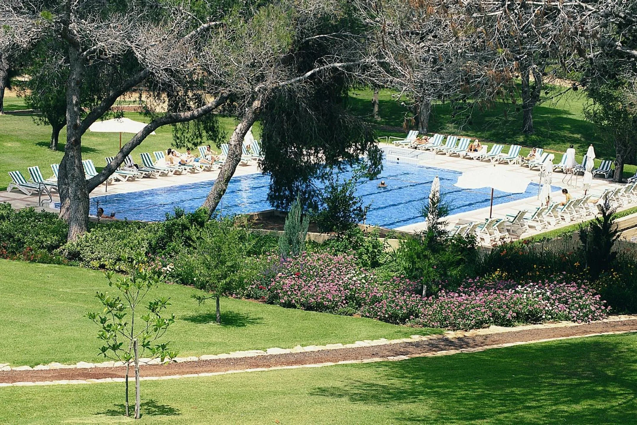 Swimming pool in Carmel Forest by Isrotel Exclusive