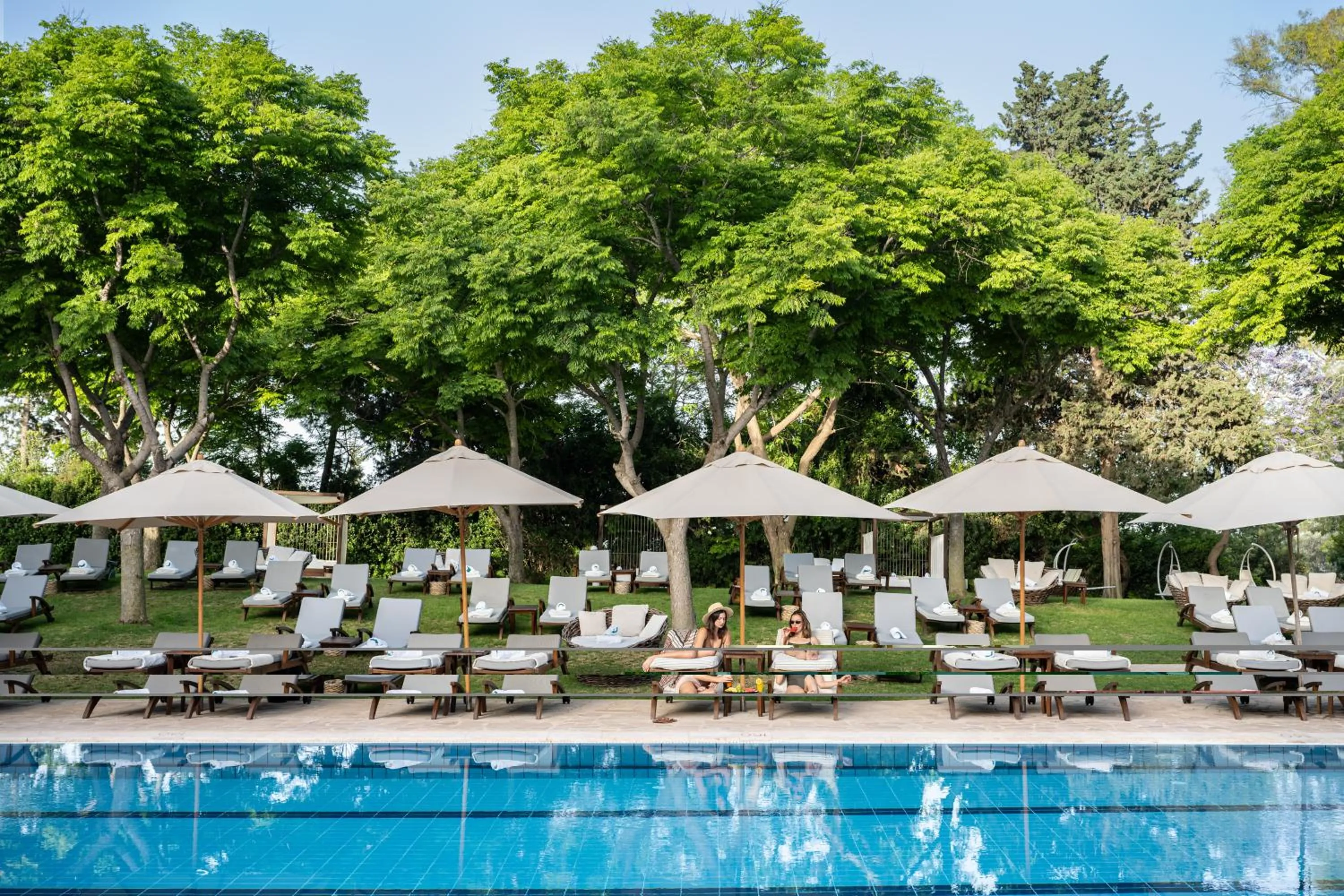 Swimming pool in Carmel Forest by Isrotel Exclusive