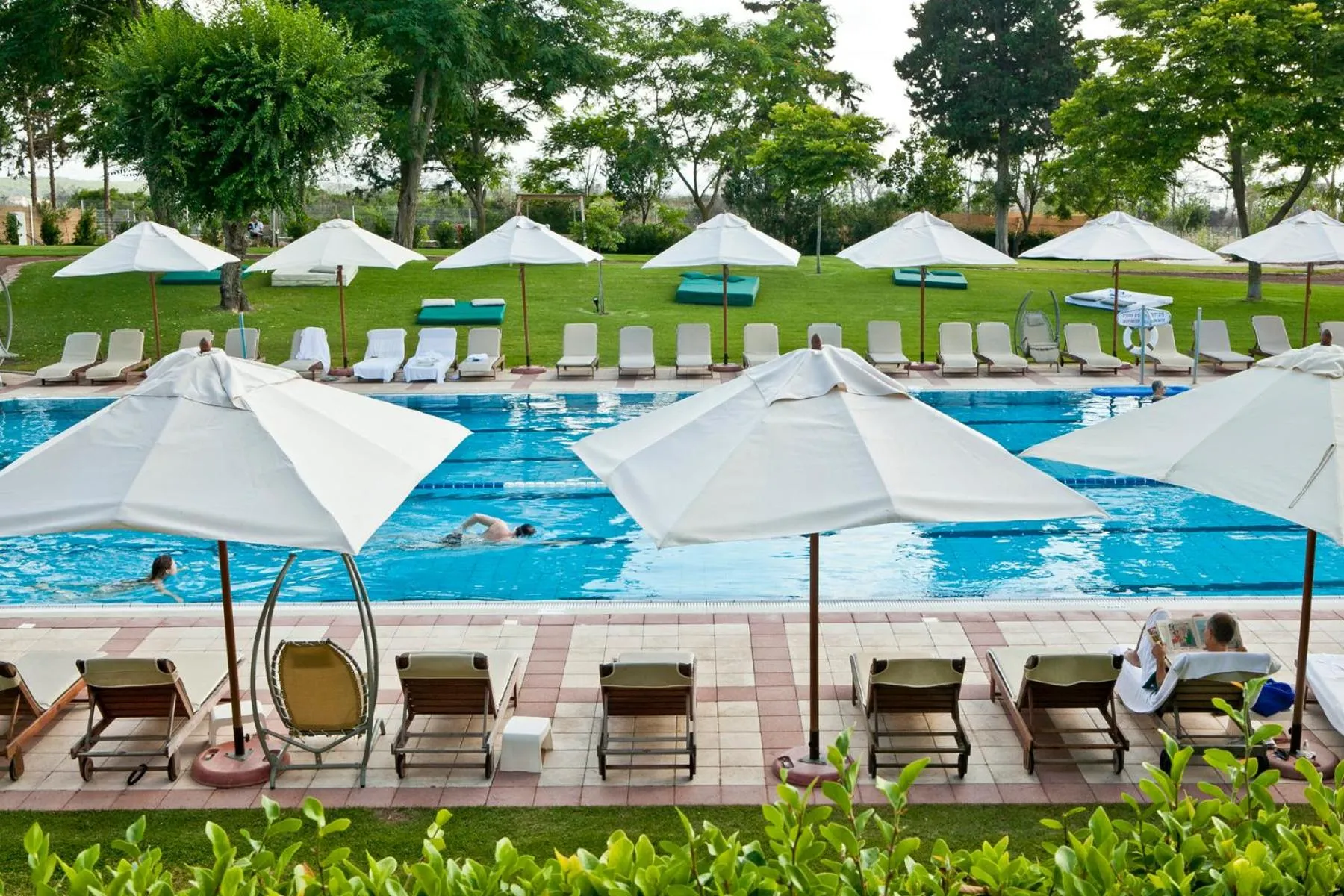 Swimming pool in Carmel Forest by Isrotel Exclusive