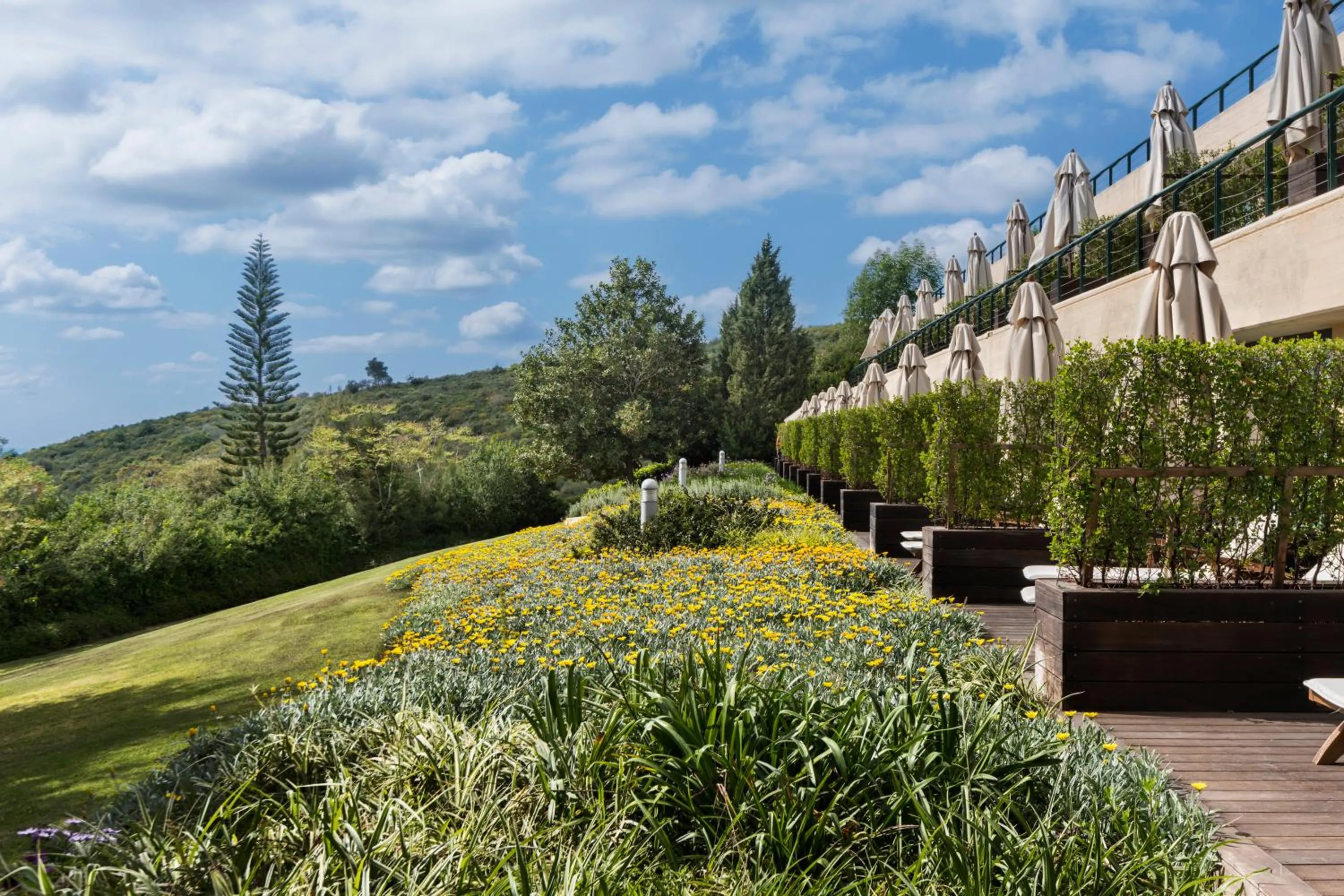 Garden in Carmel Forest by Isrotel Exclusive