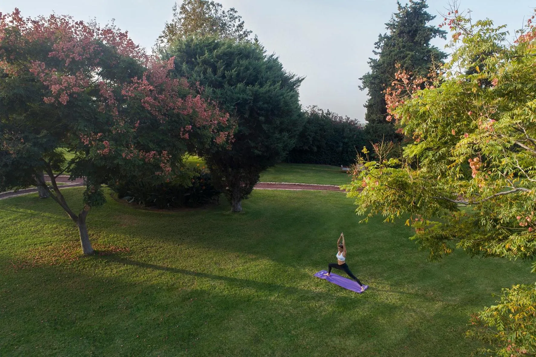 Fitness centre/facilities in Carmel Forest by Isrotel Exclusive