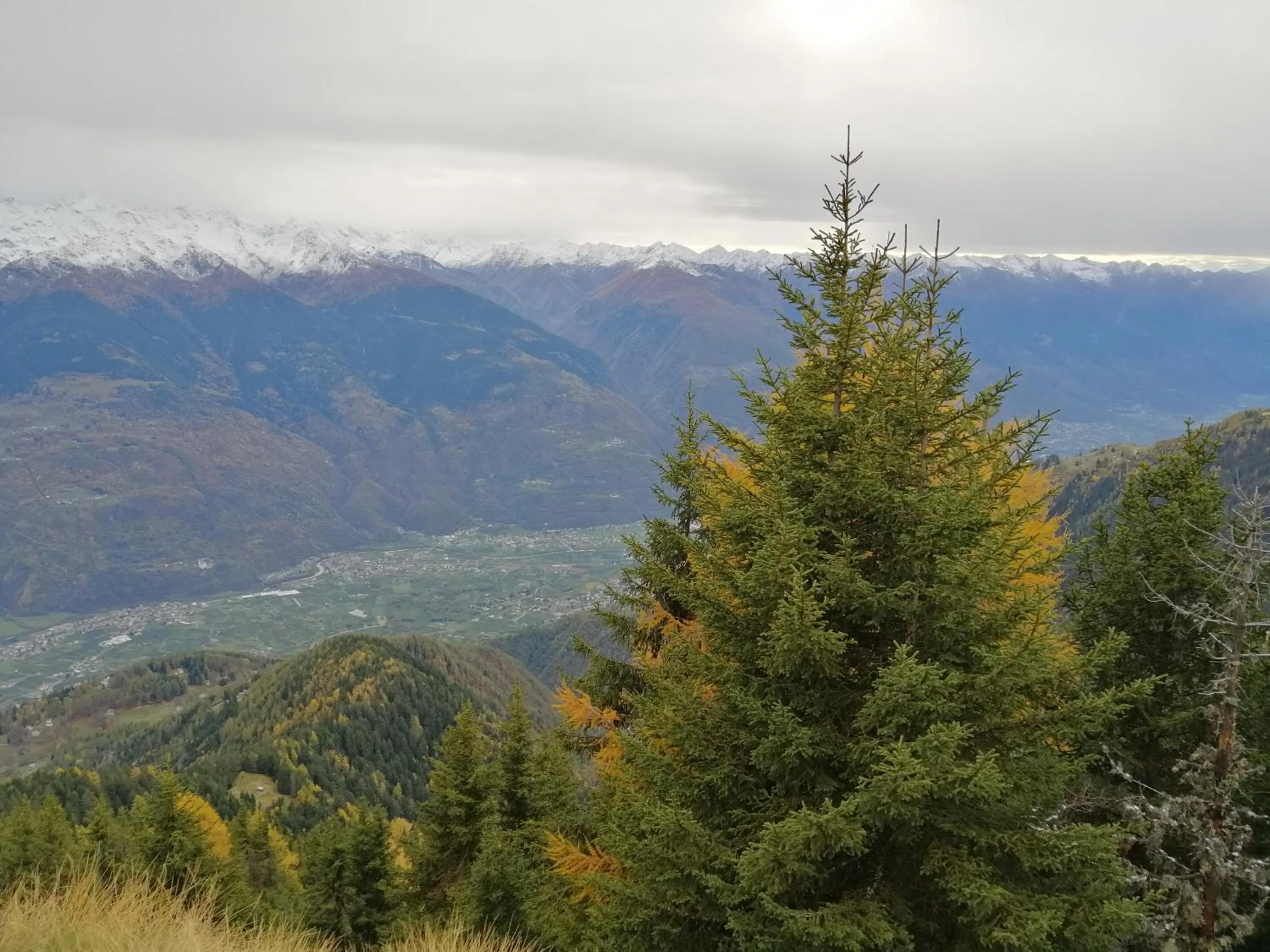 Nearby landmark in Hotel Albrici
