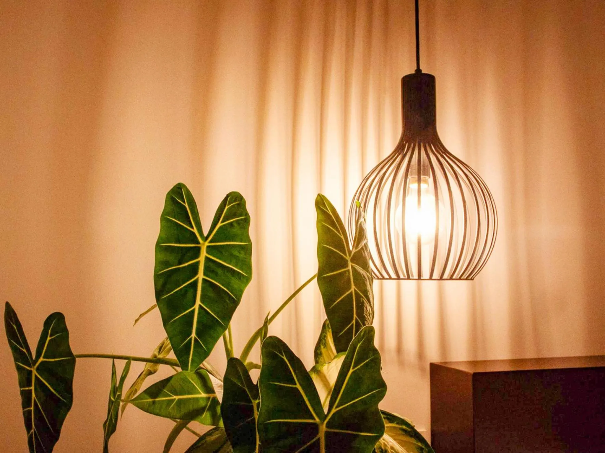 Decorative detail in Hanalee Villa Kouri