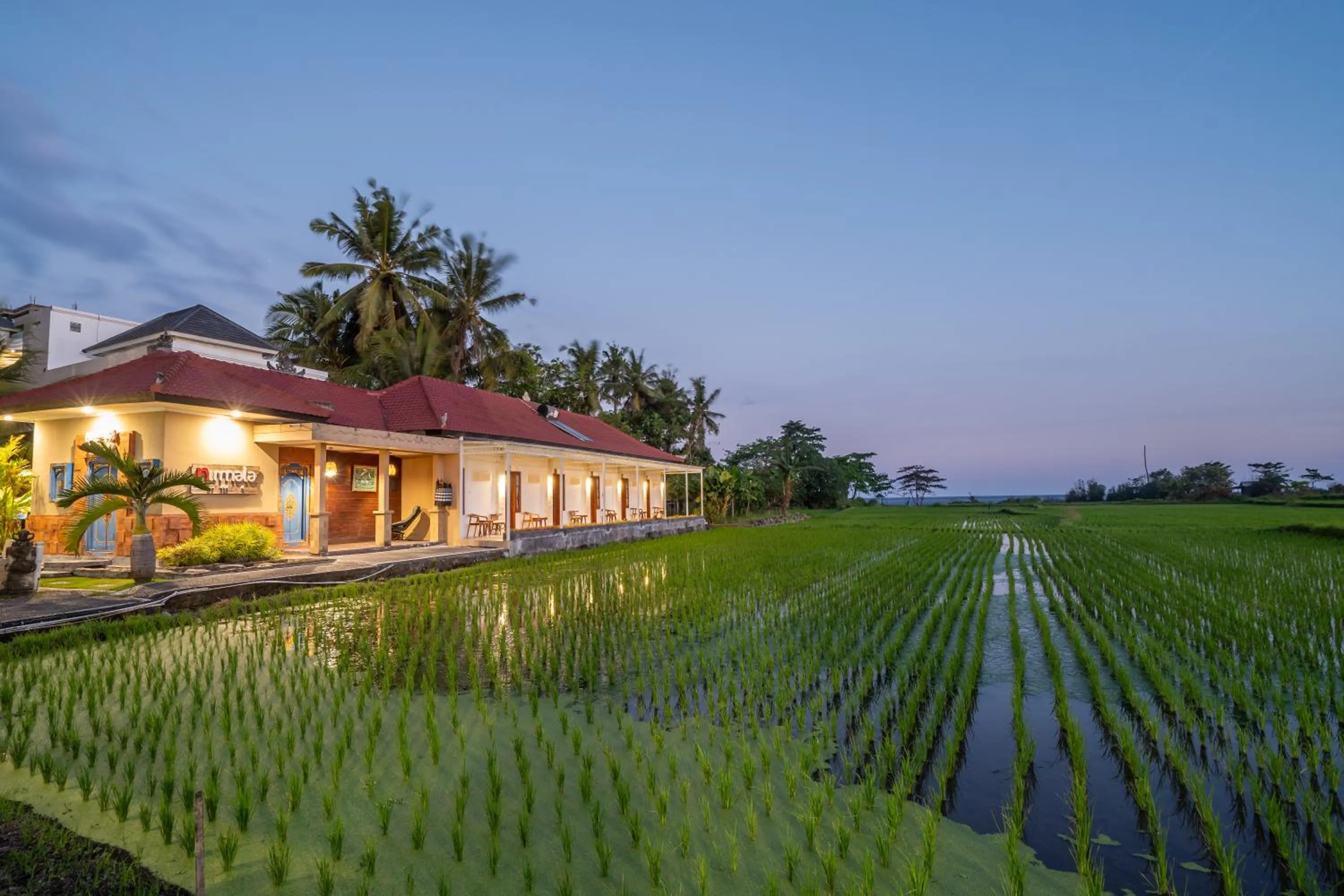 View (from property/room) in Nirmala Guest House Surf Keramas