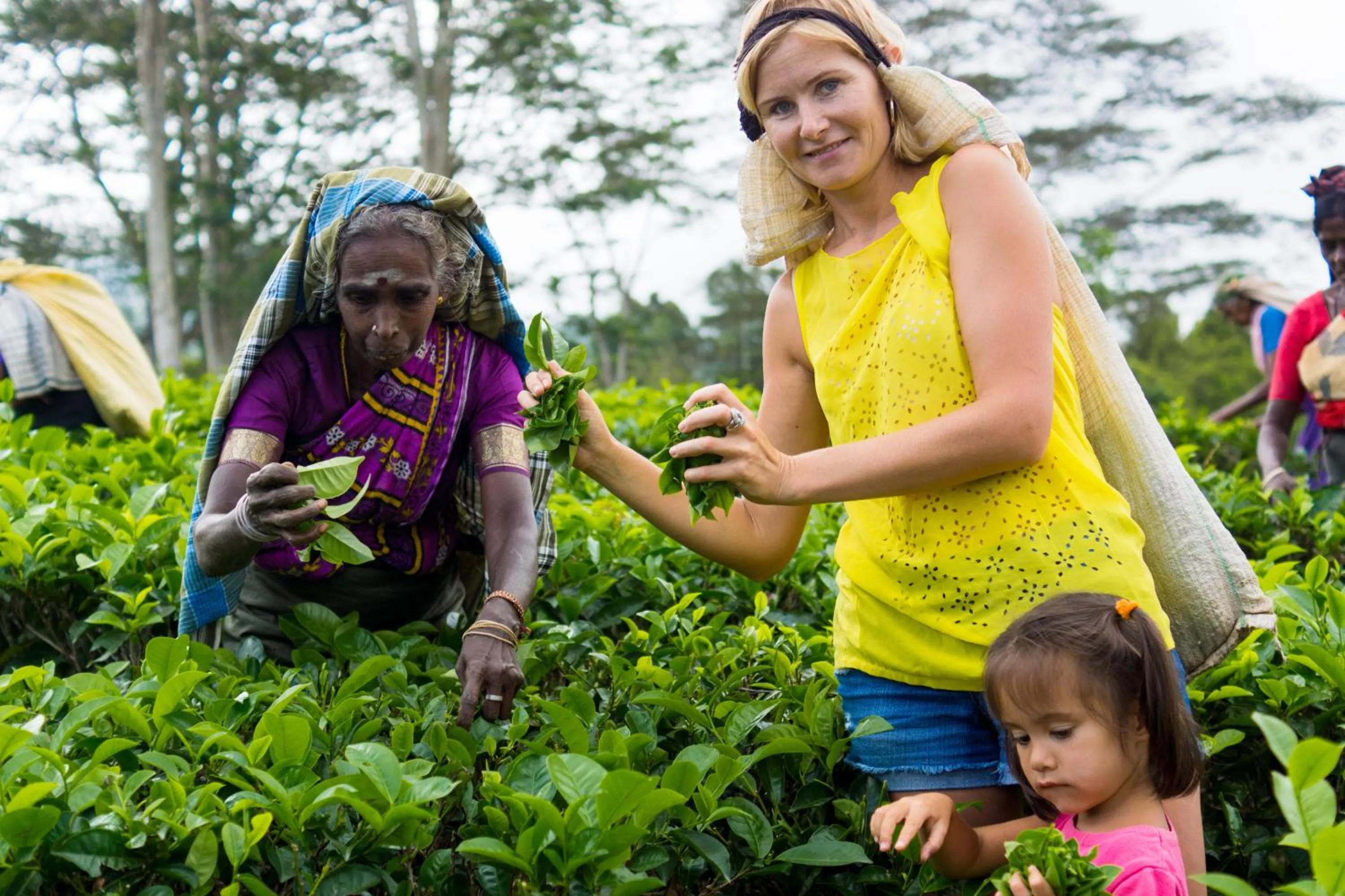 Day in Ashburnham Estate-98 Acre Tea Estate with Private Waterfalls
