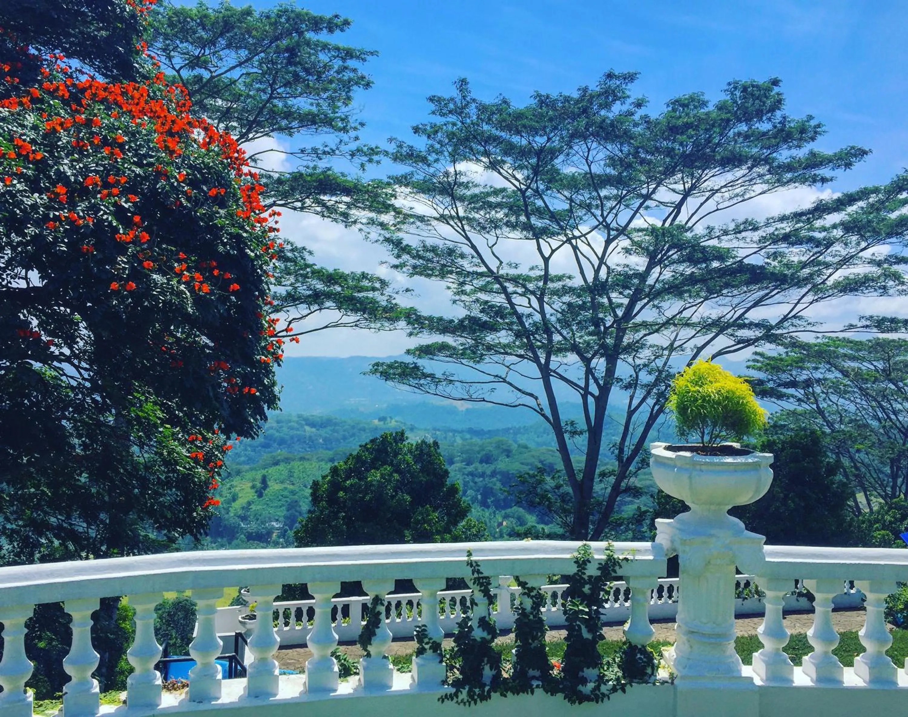 Day in Ashburnham Estate-98 Acre Tea Estate with Private Waterfalls