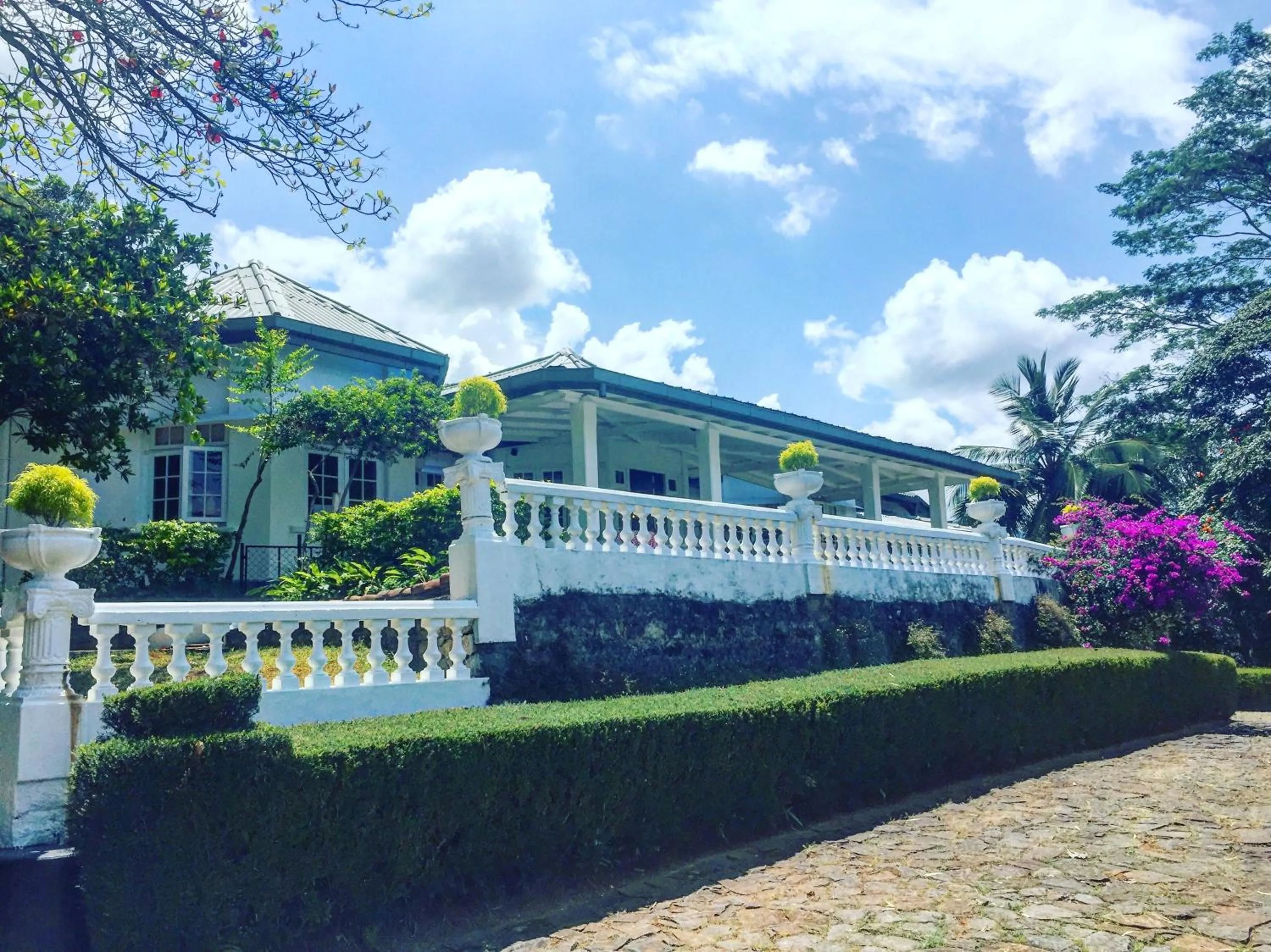Property building in Ashburnham Estate-98 Acre Tea Estate with Private Waterfalls