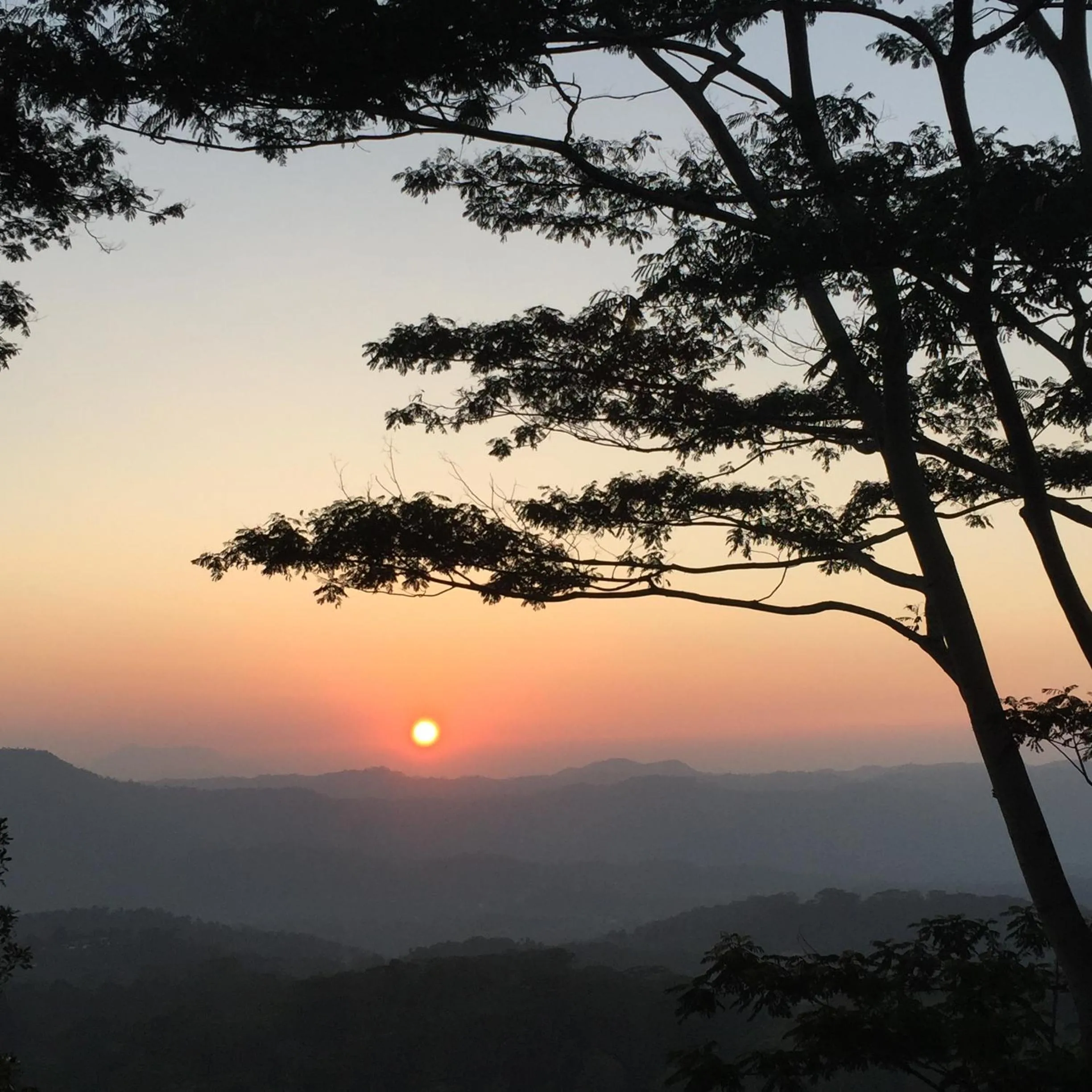 Natural landscape in Ashburnham Estate-98 Acre Tea Estate with Private Waterfalls