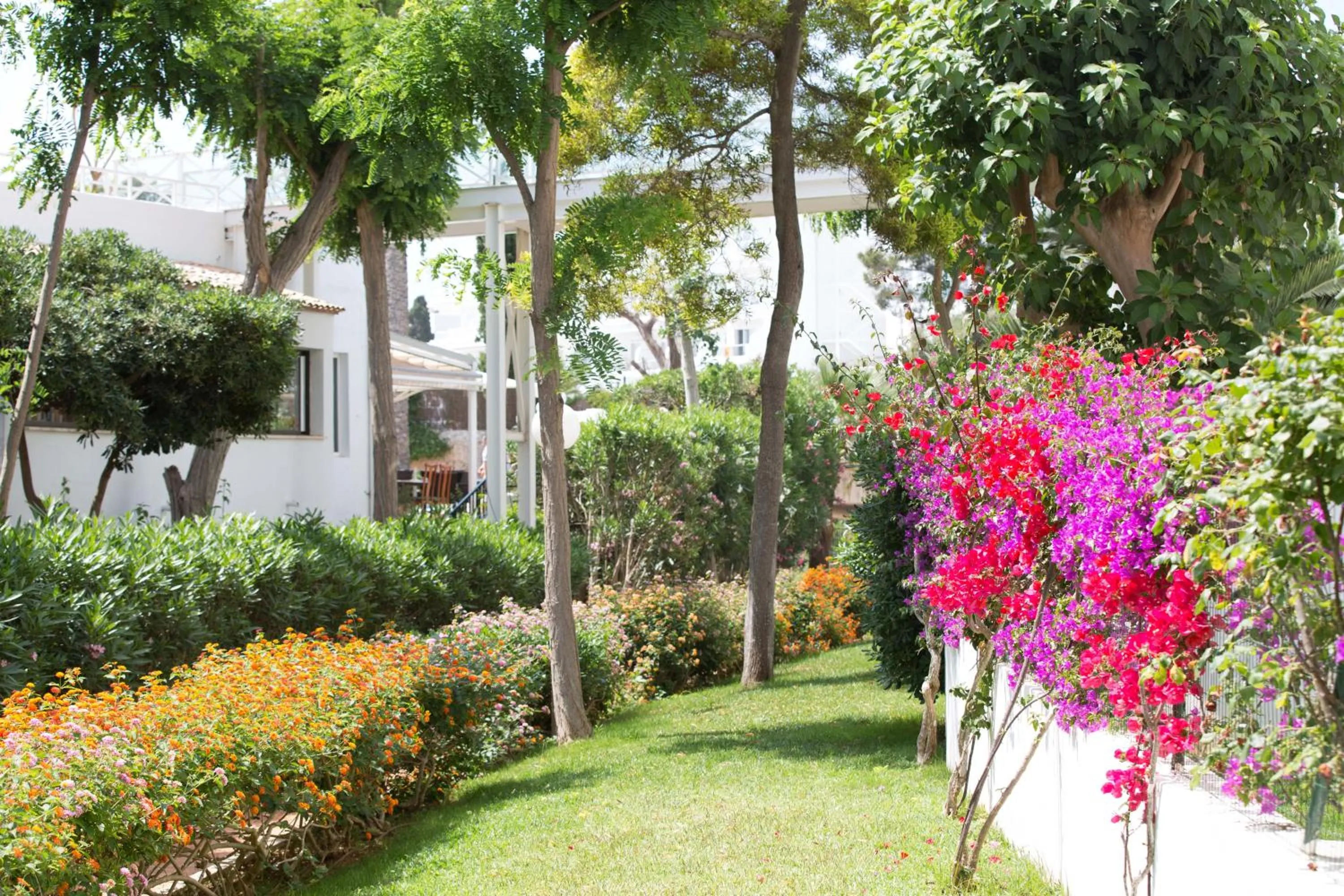 Garden in Gavimar Cala Gran Hotel and Apartments
