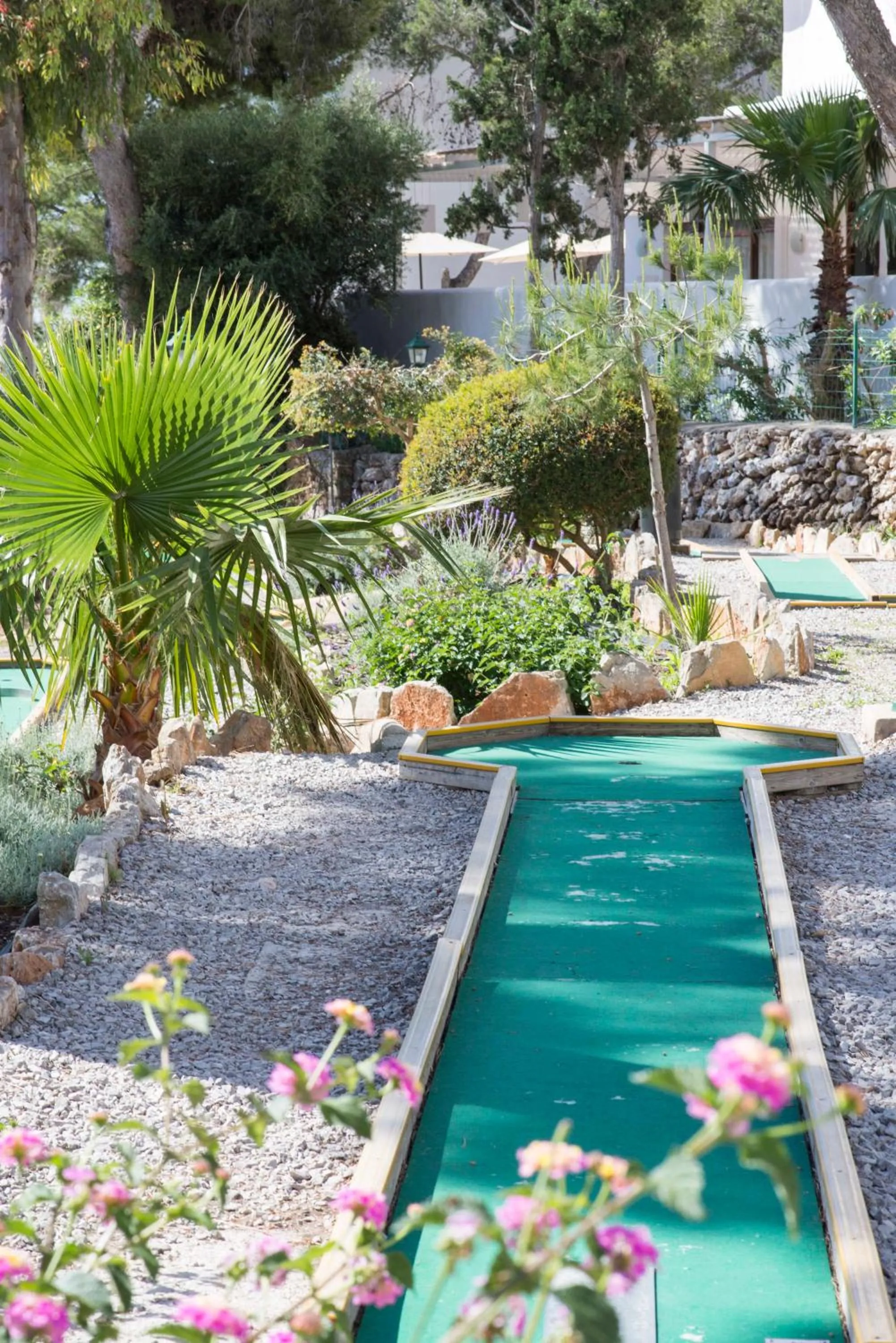 Area and facilities in Gavimar Ariel Chico Hotel and Apartments