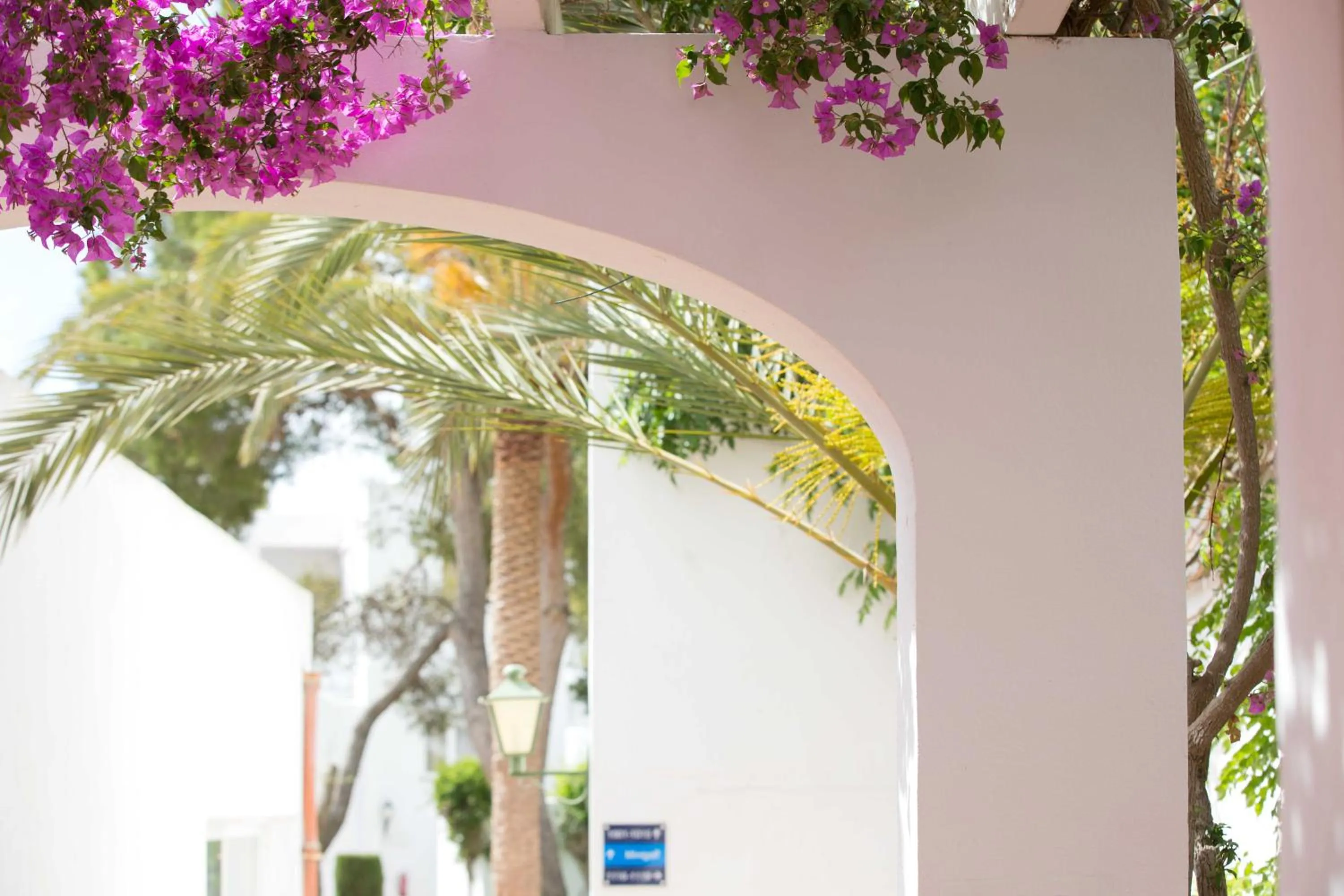 Garden in Gavimar Ariel Chico Hotel and Apartments