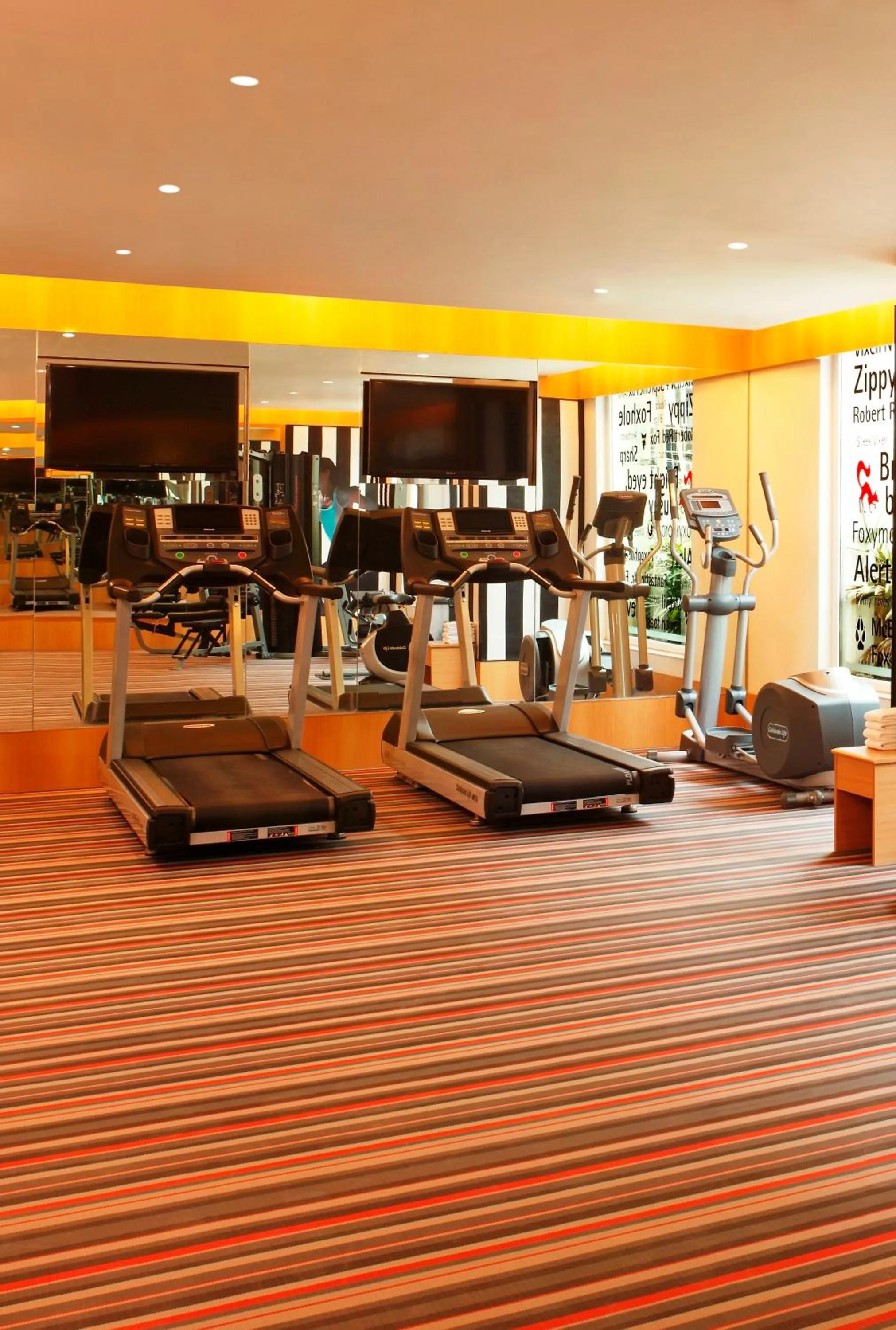 Fitness centre/facilities in Red Fox by Lemon Tree Hotels, Delhi Airport