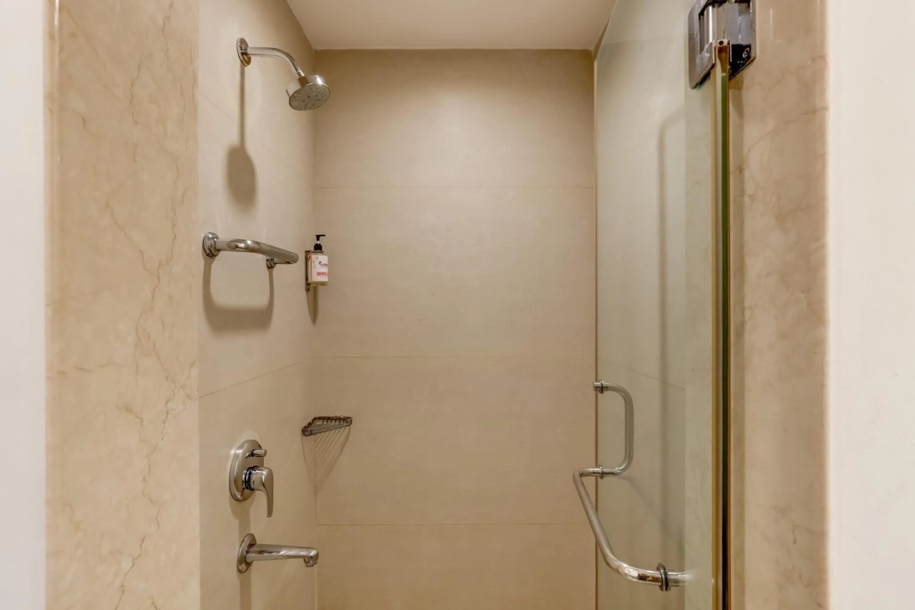 Red Fox by Lemon Tree Hotels, Delhi Airport