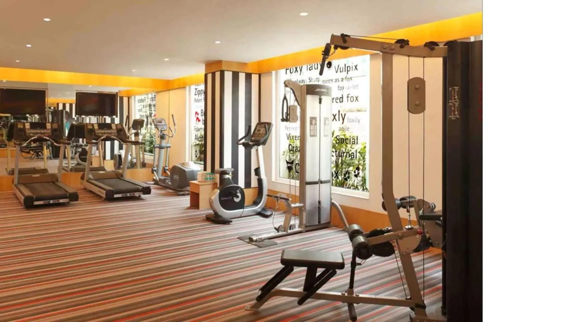 Fitness centre/facilities in Red Fox by Lemon Tree Hotels, Delhi Airport