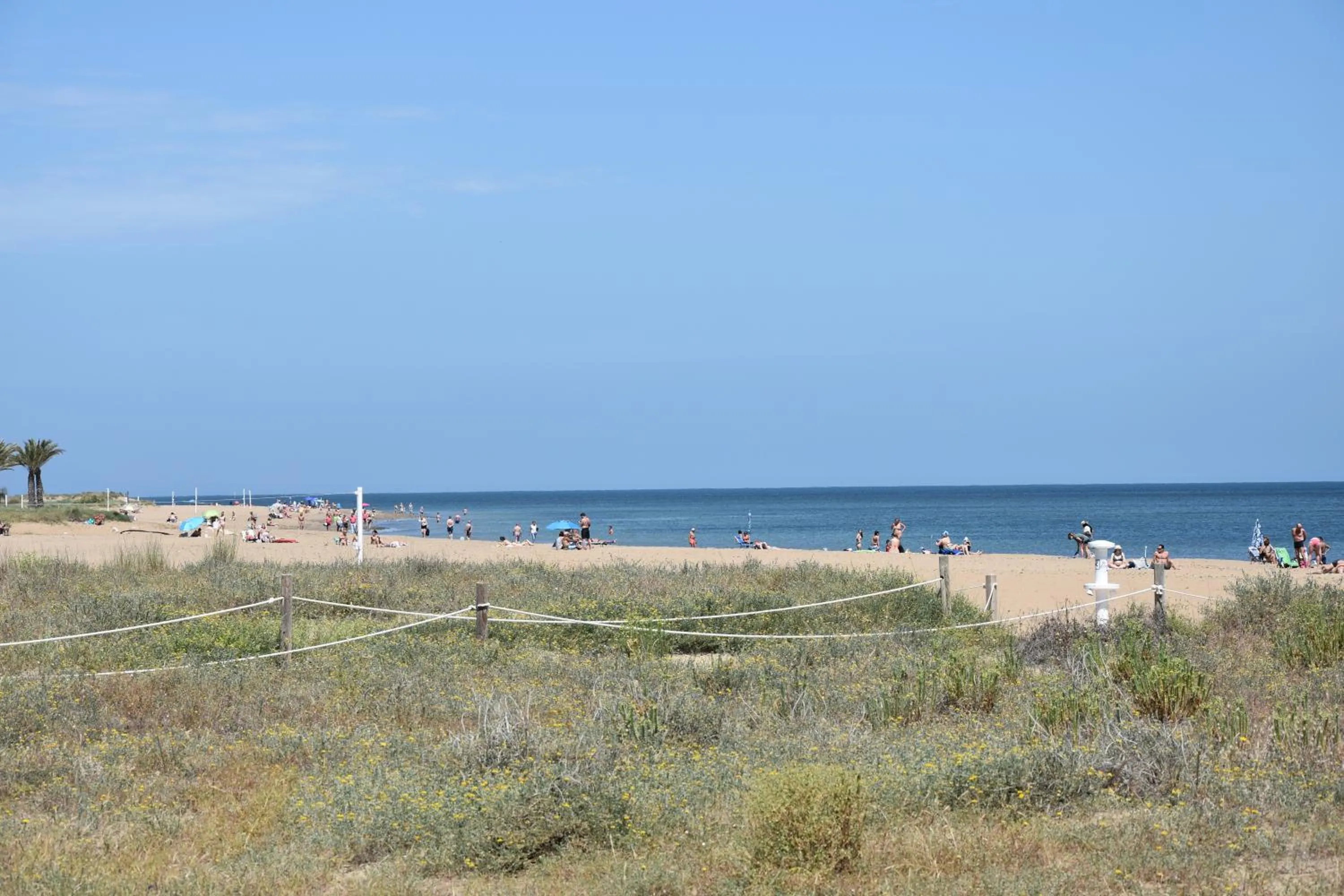 Beach in Apartamentos Acuario