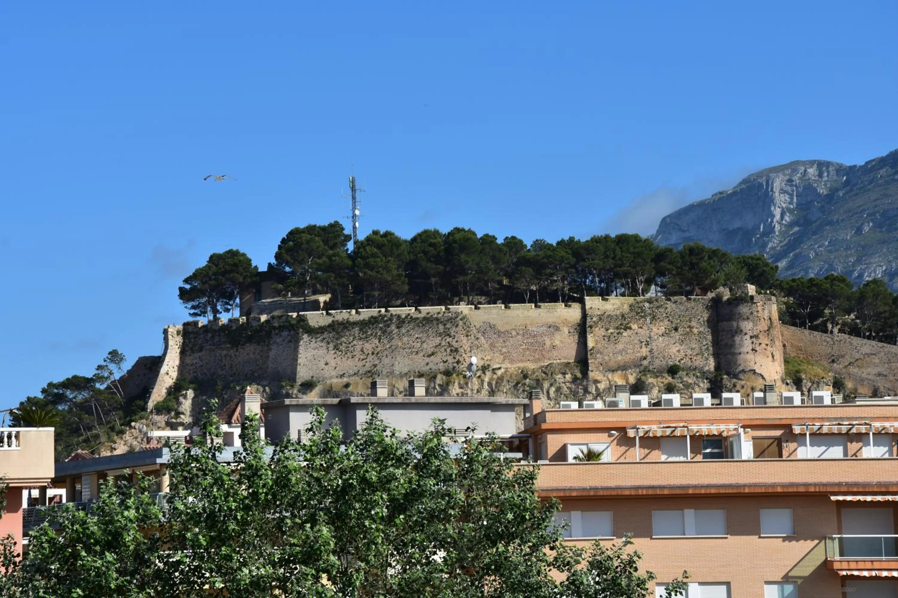 Nearby landmark in Apartamentos Acuario