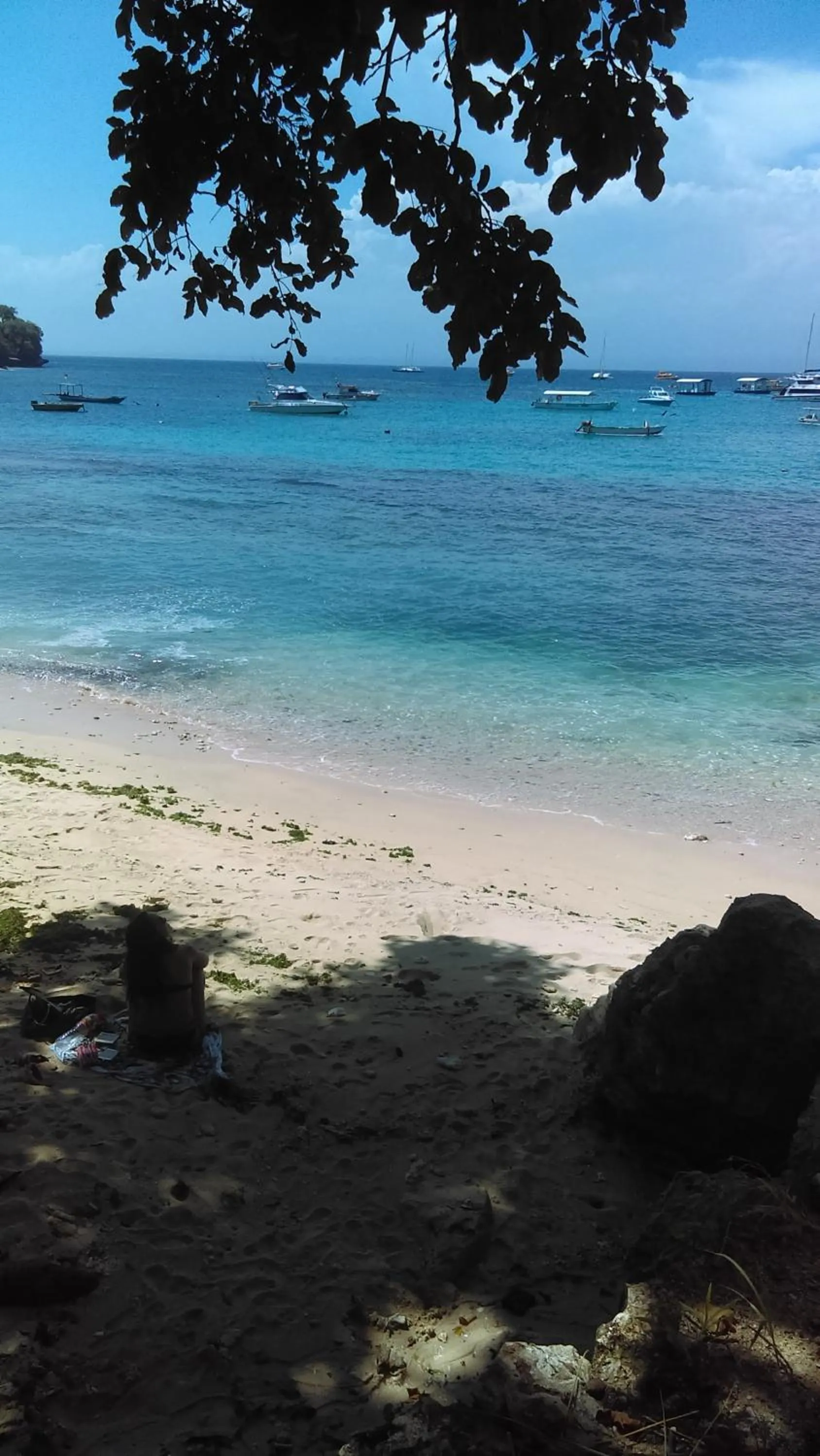 Sea view in La Gautch Bungalow