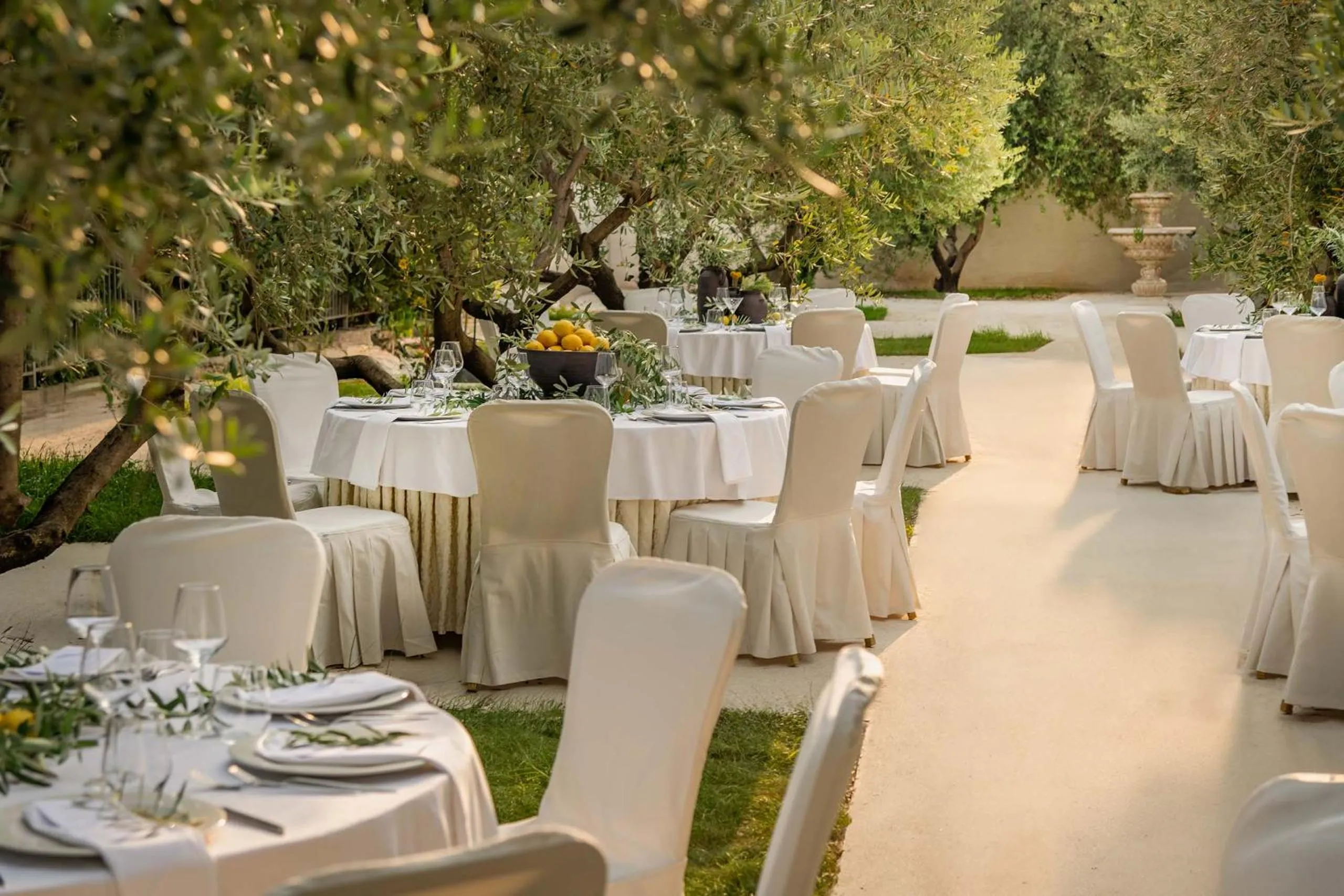 Garden in Hotel President Solin