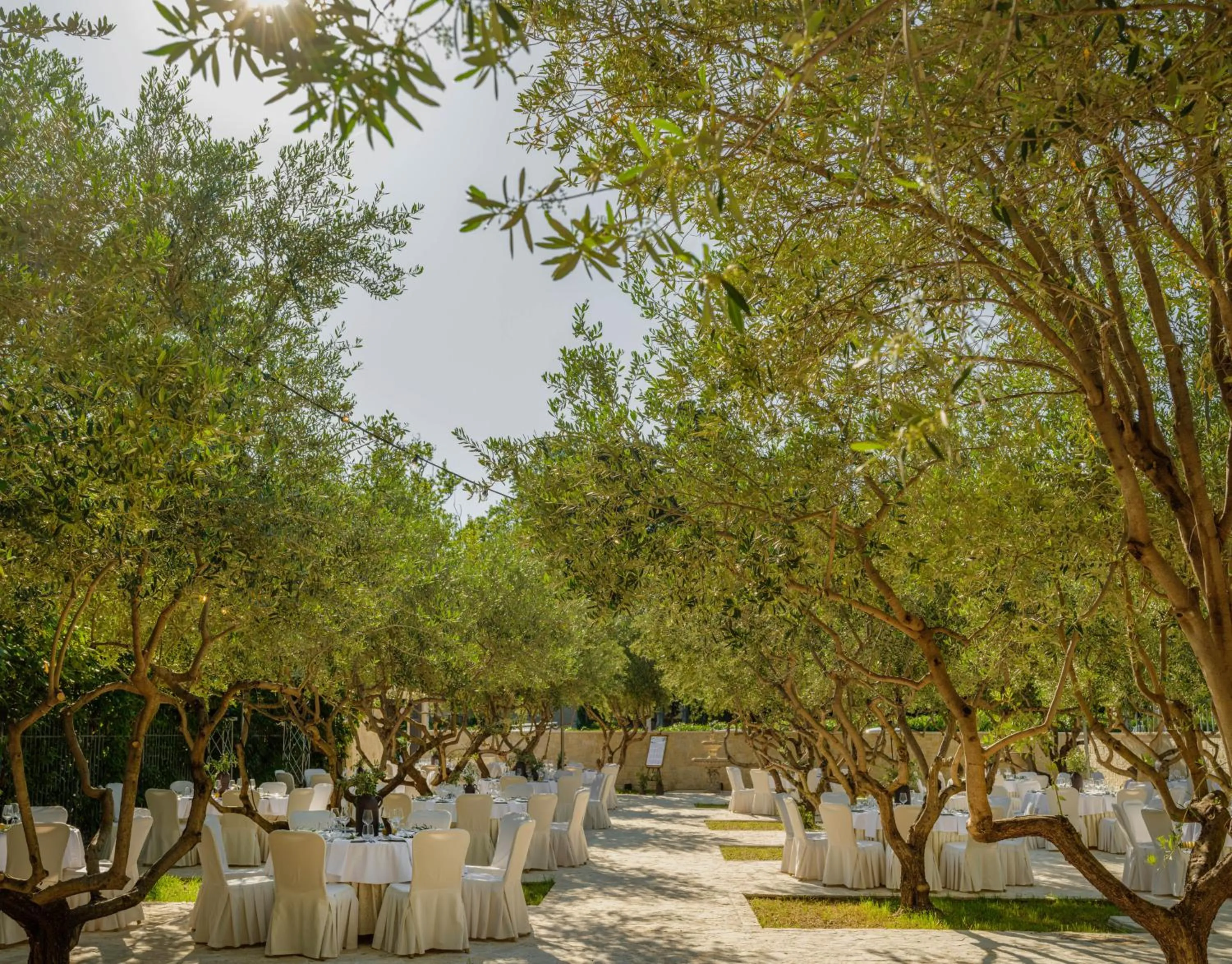 Garden in Hotel President Solin