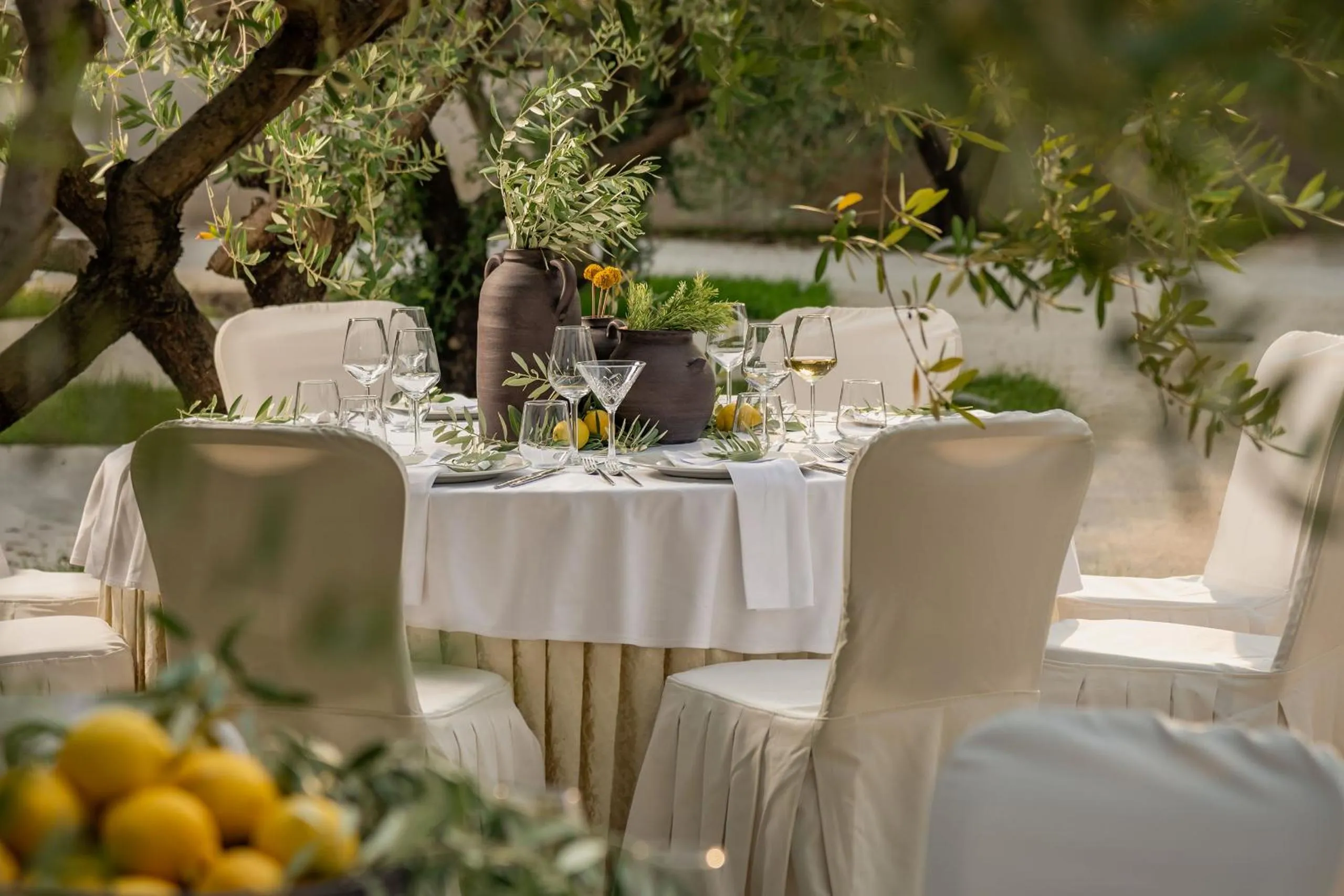 Garden in Hotel President Solin