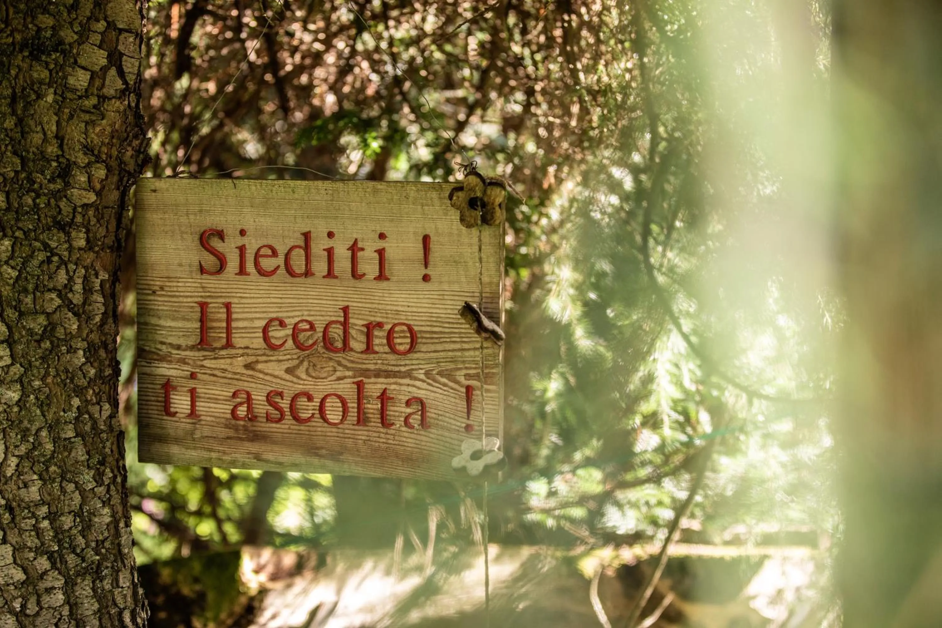 Day in Belvedere Dolomites Flower Hotel