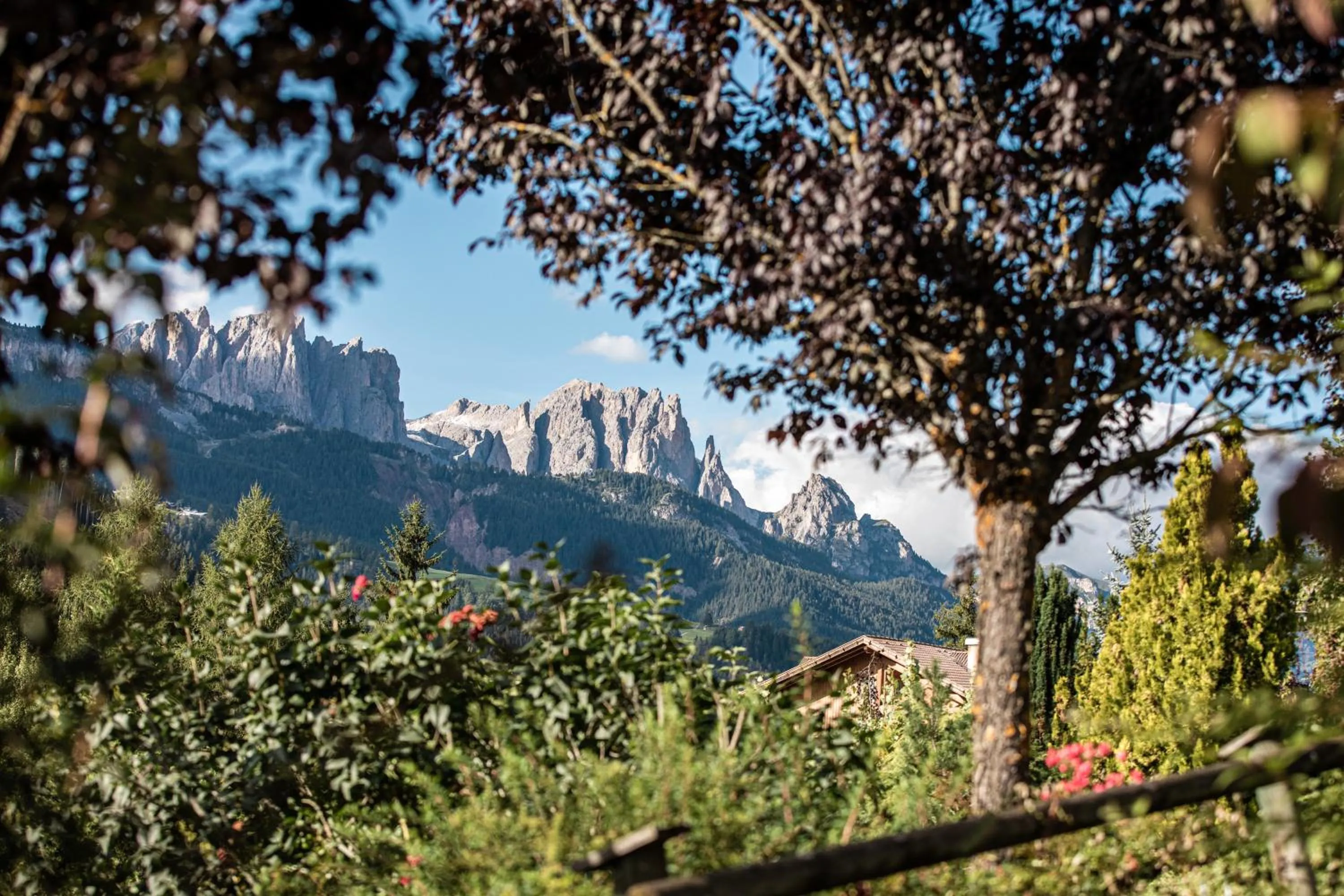 Day in Belvedere Dolomites Flower Hotel