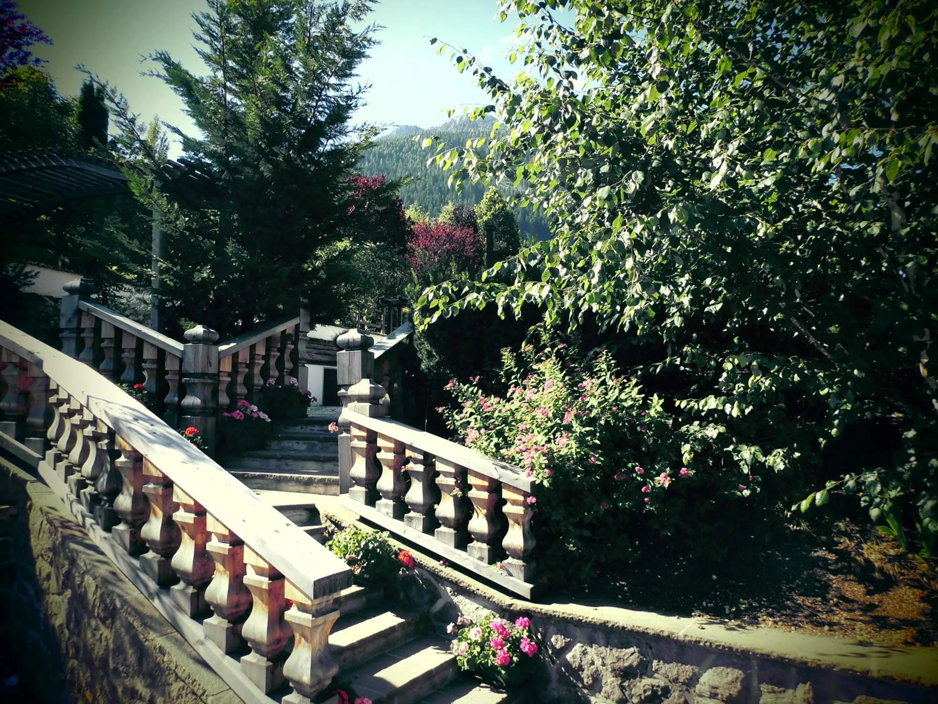 Garden view in Belvedere Dolomites Flower Hotel