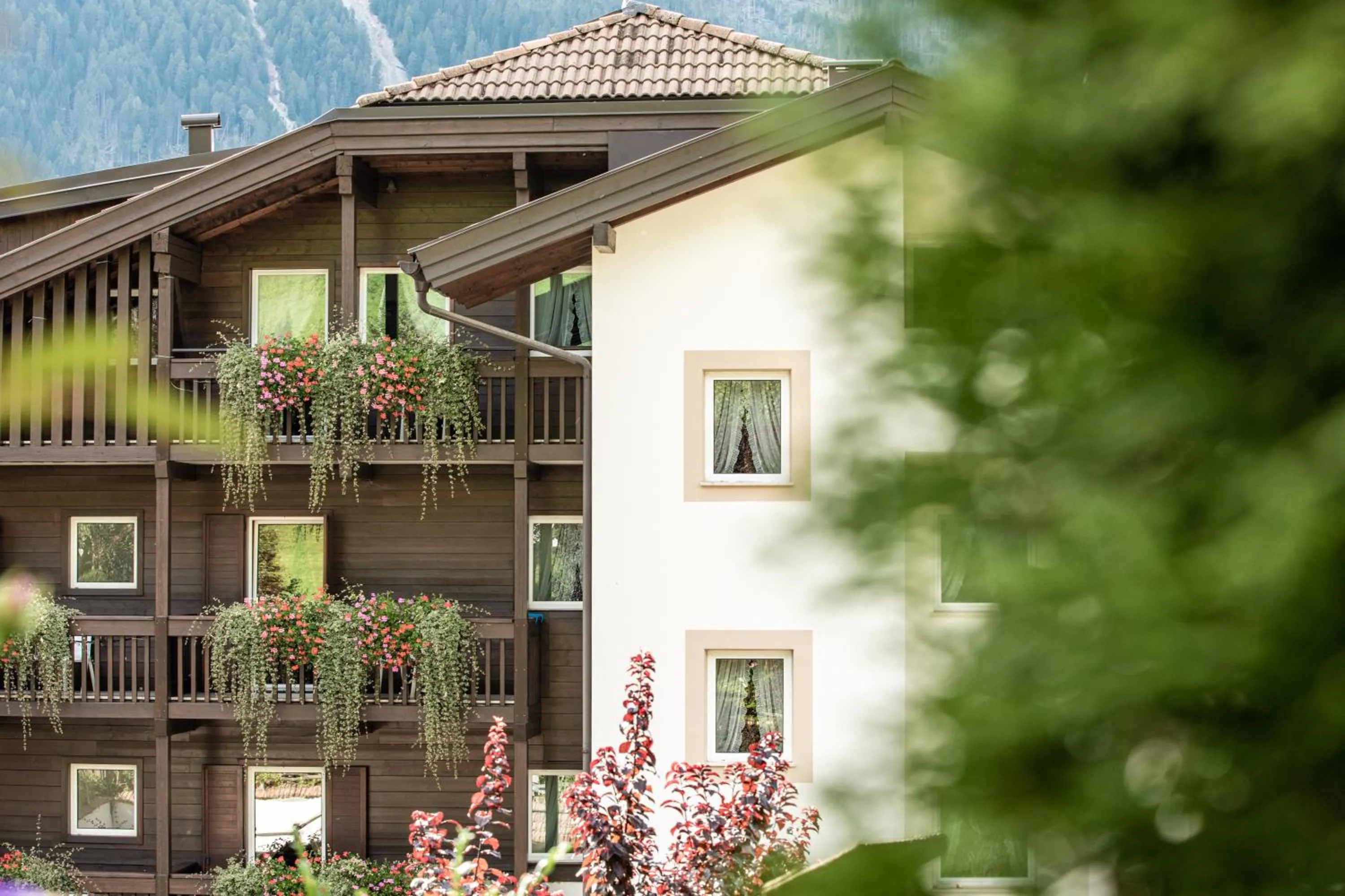 Property building in Belvedere Dolomites Flower Hotel