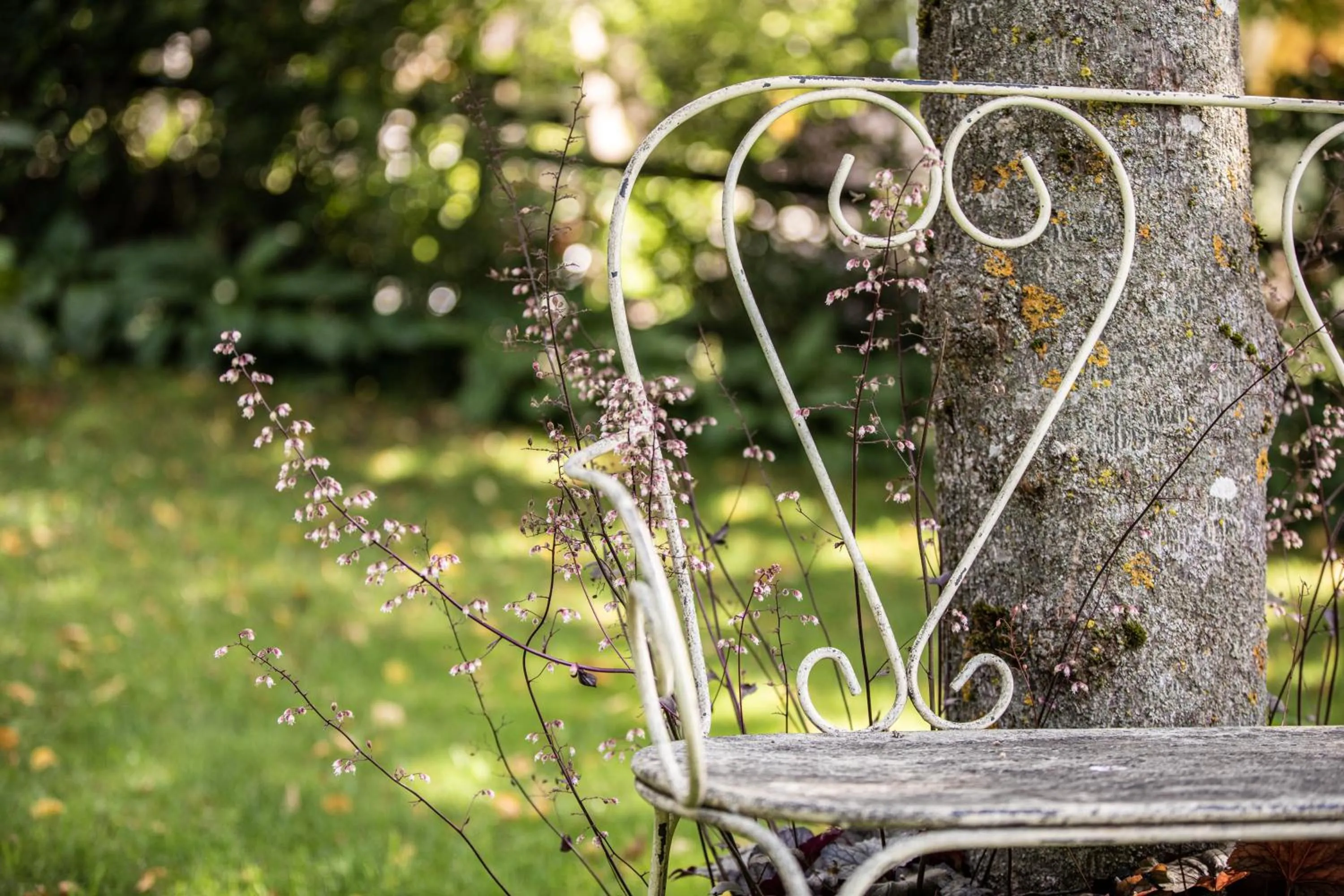 Belvedere Dolomites Flower Hotel