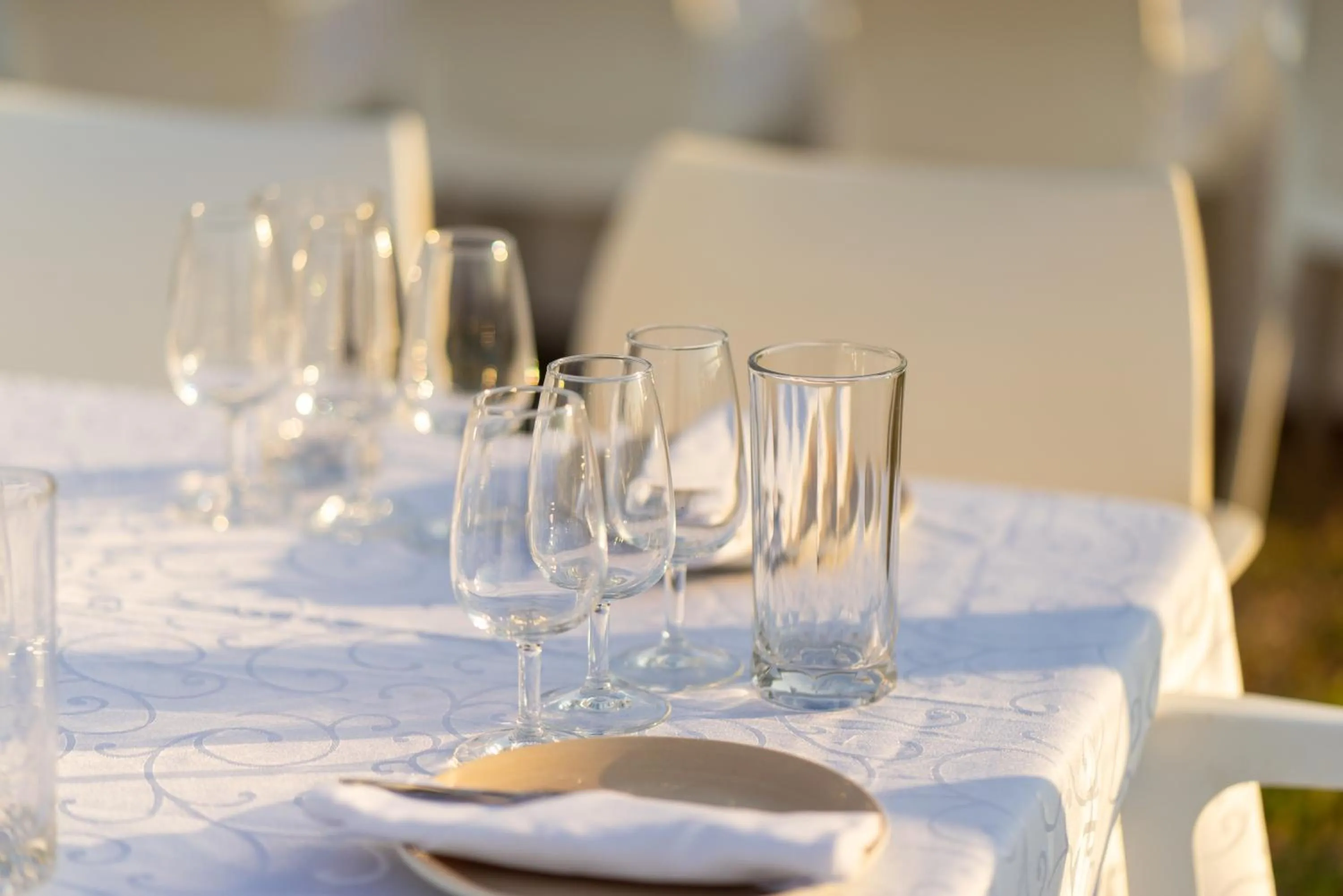 Kievits Kroon Gauteng Wine Estate