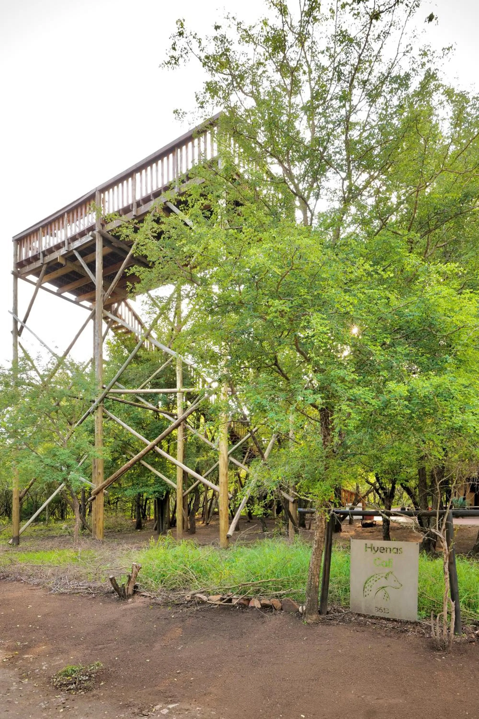 Property building in Hyenas Call