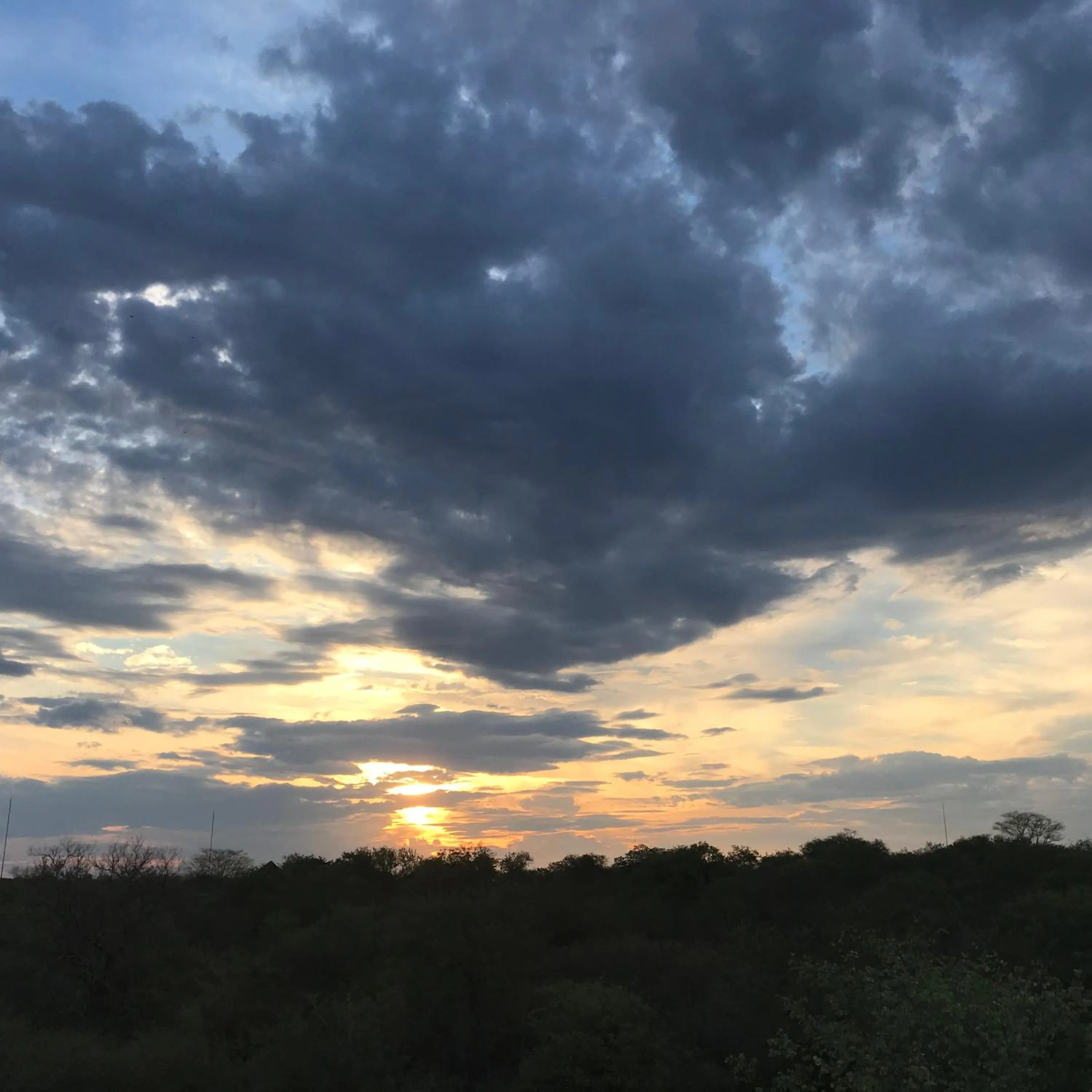 Bird's eye view in Hyenas Call