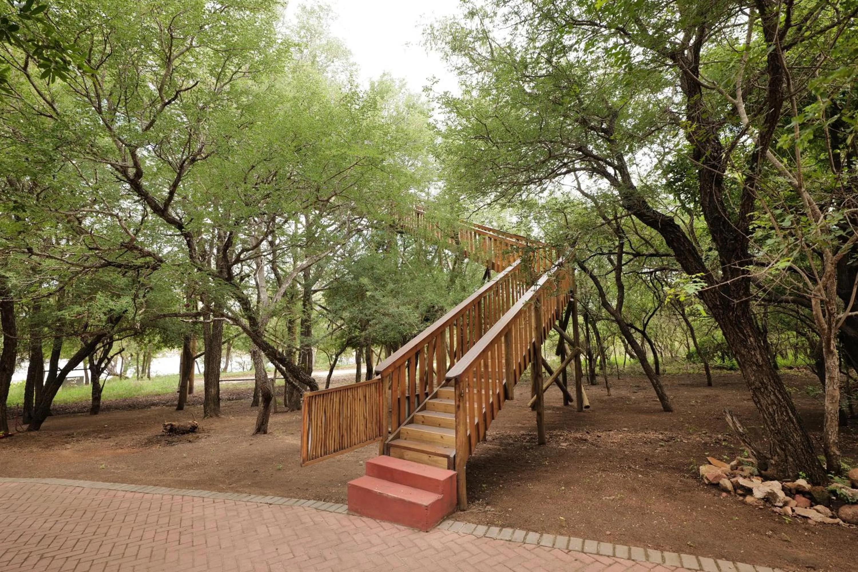 Property building in Hyenas Call