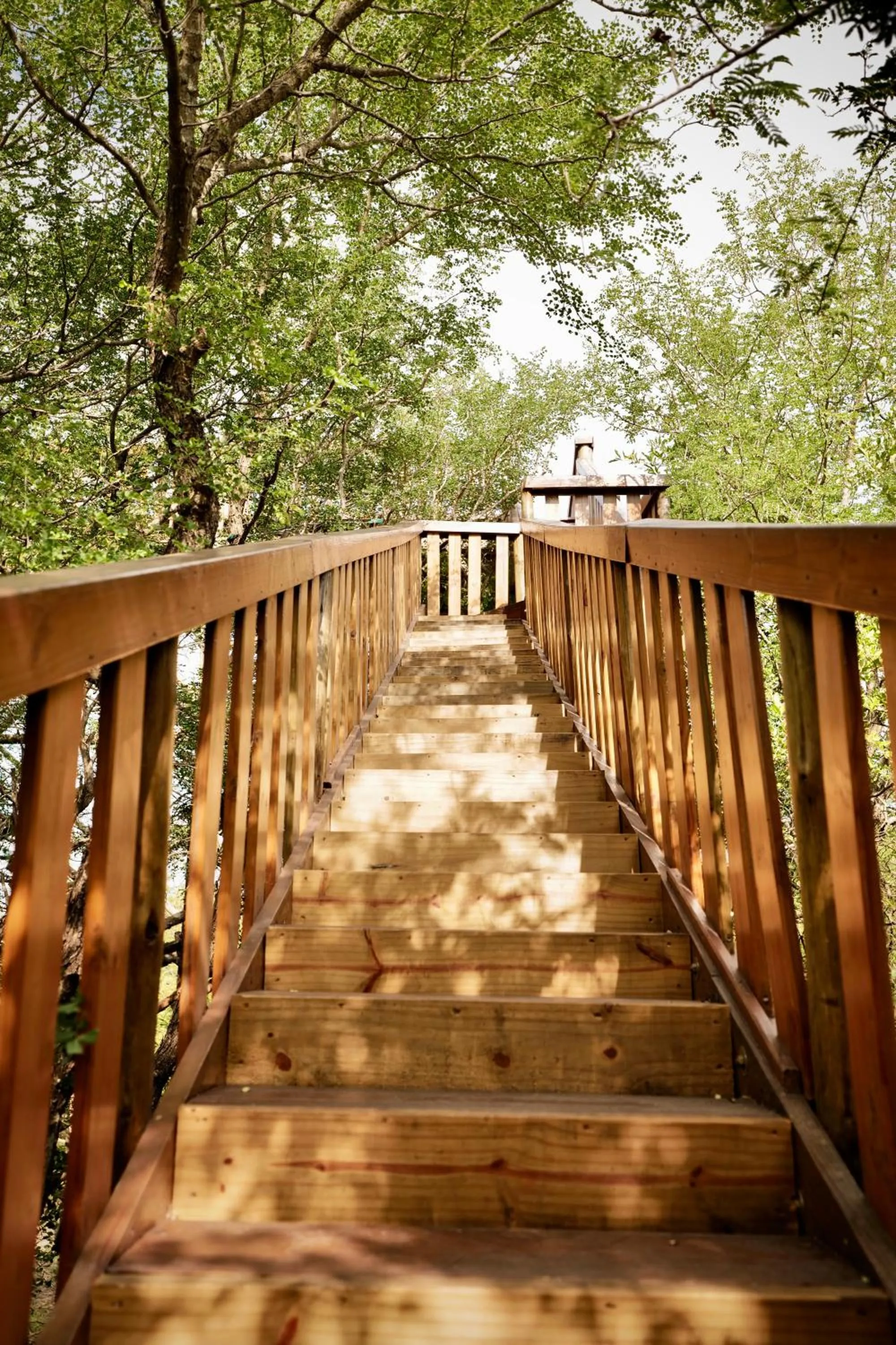 Property building in Hyenas Call