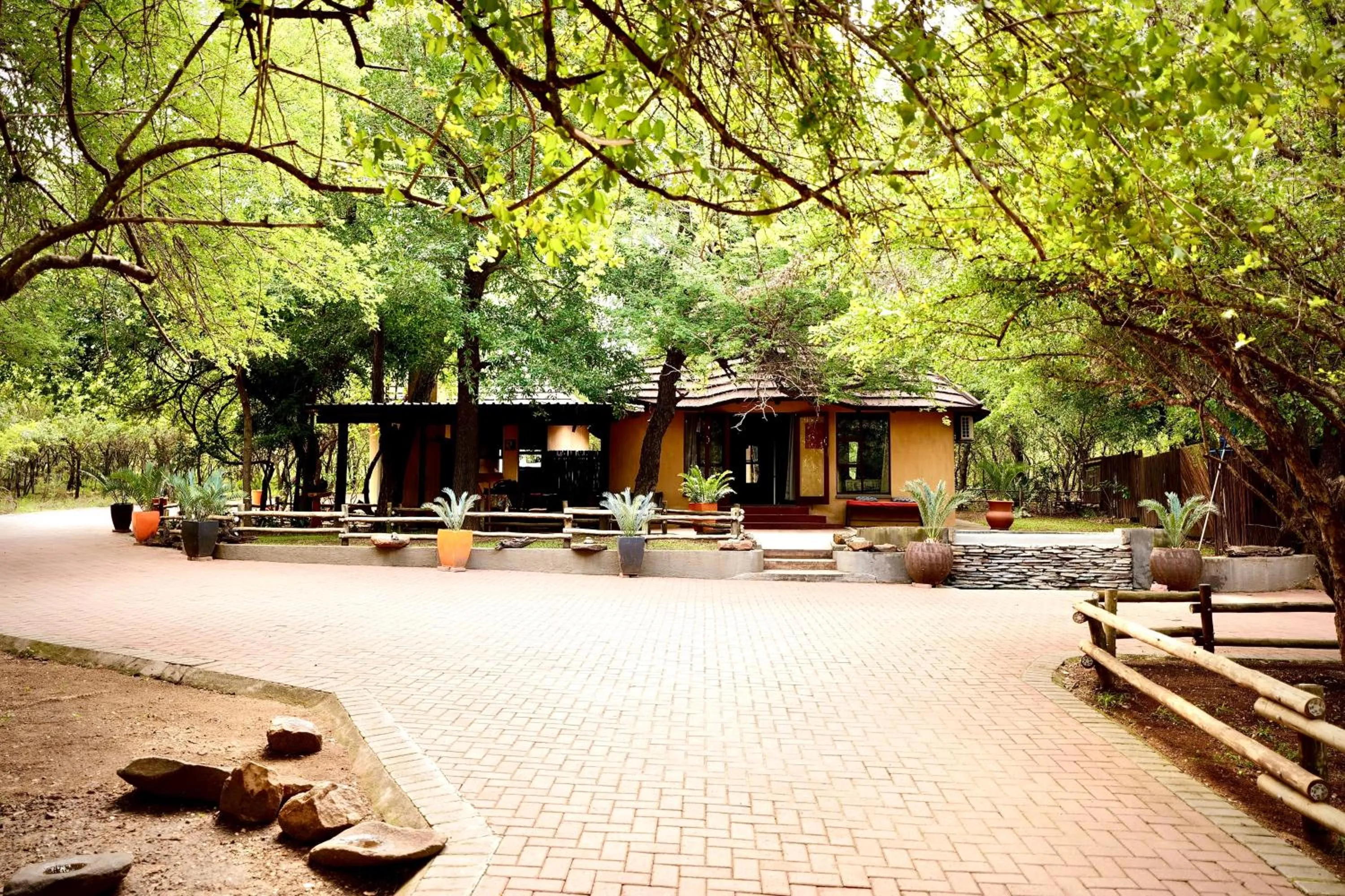 Property building in Hyenas Call