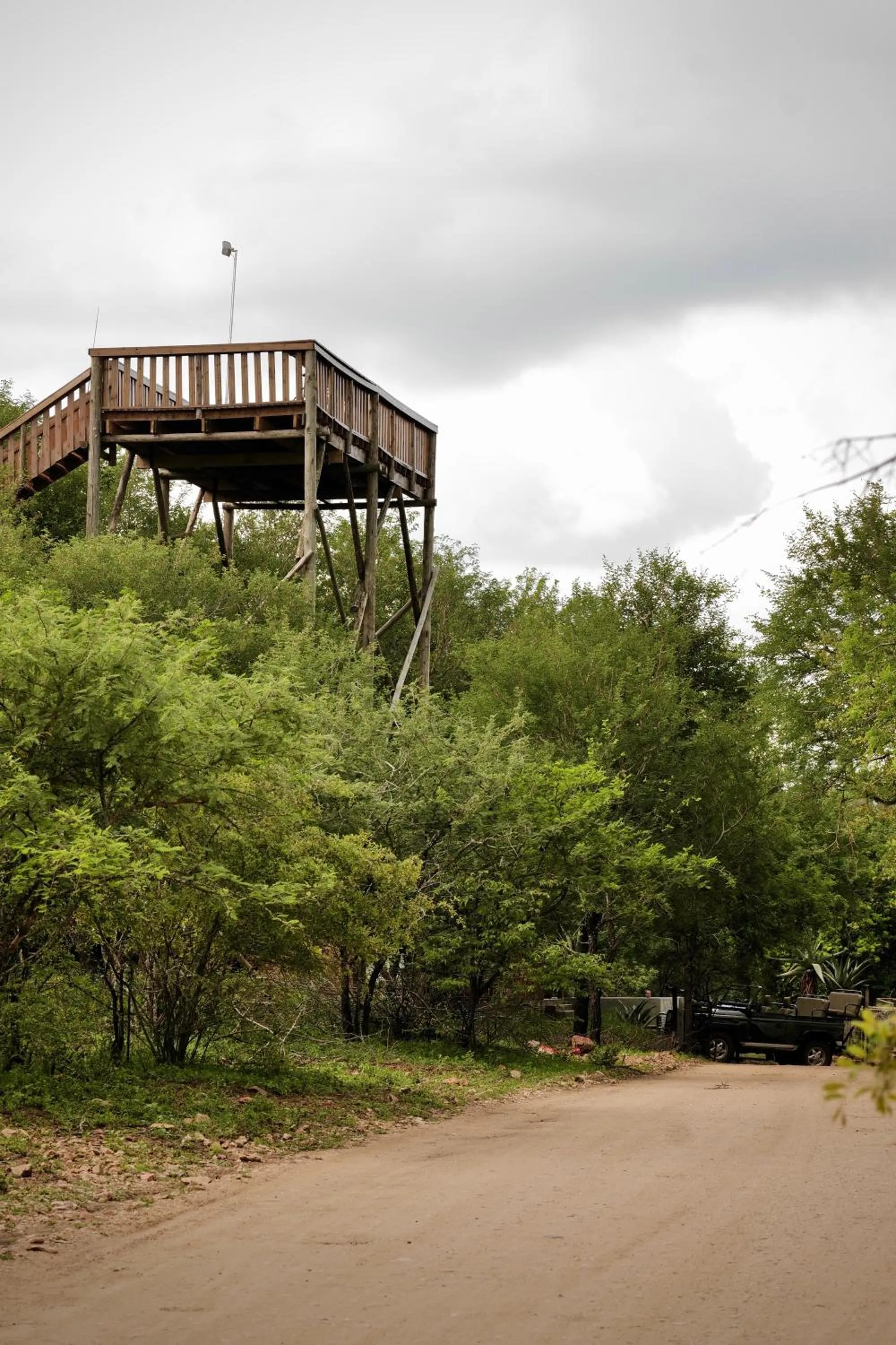 Property building in Hyenas Call