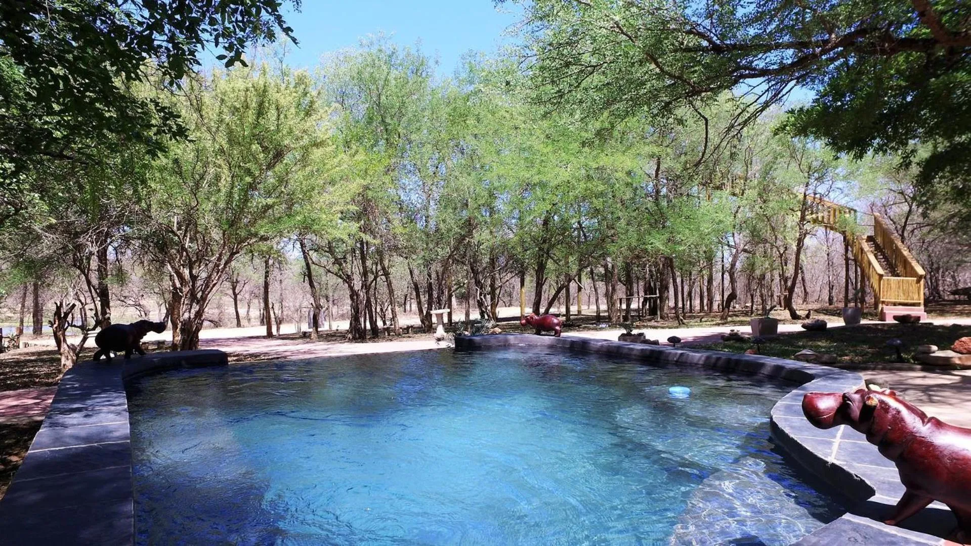 View (from property/room) in Hyenas Call