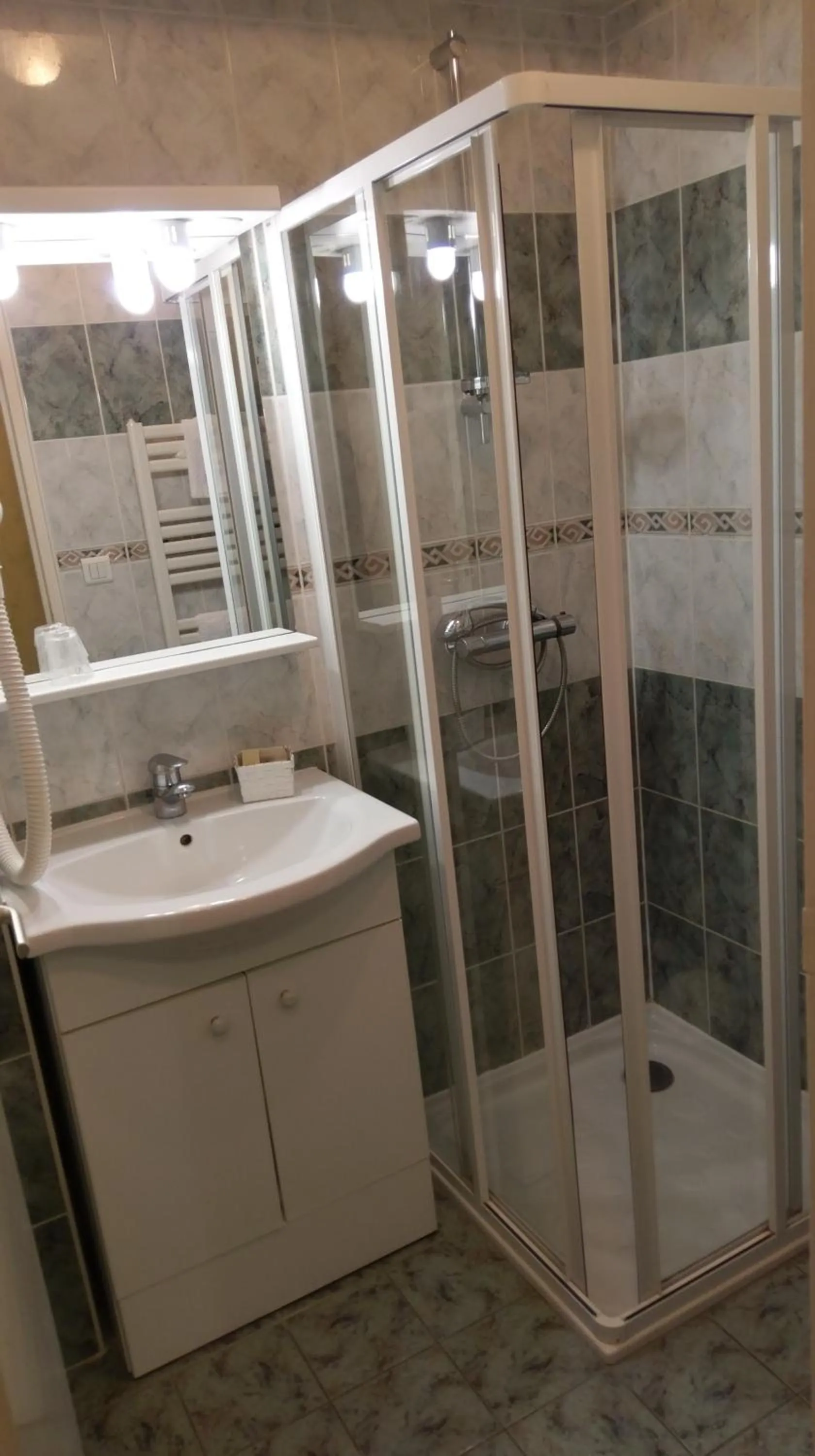 Logis de L'Europe Restaurant Le Cepage