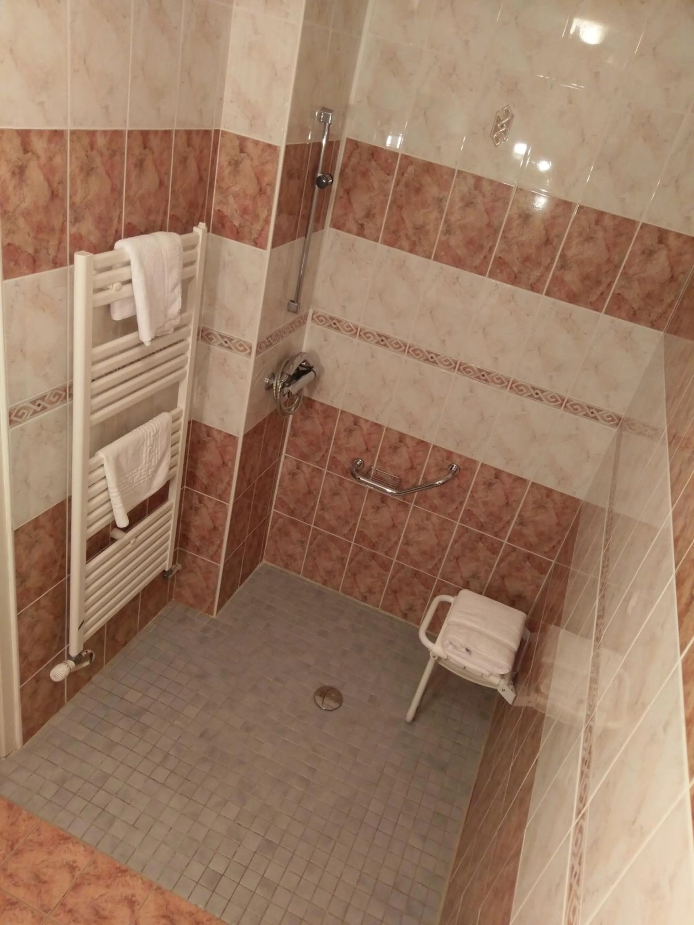 Logis de L'Europe Restaurant Le Cepage